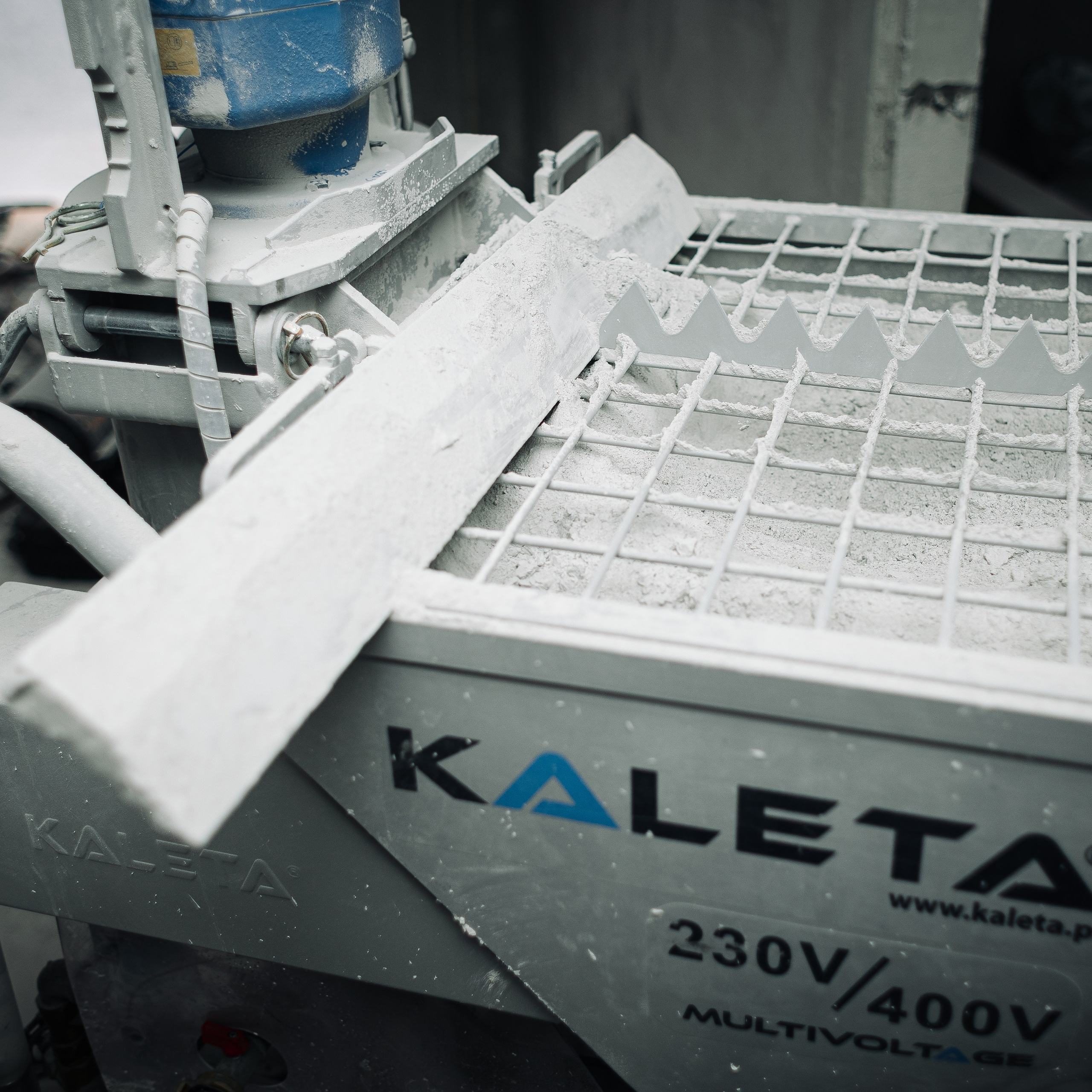 Репортаж. Алёна Большакова — Фотограф