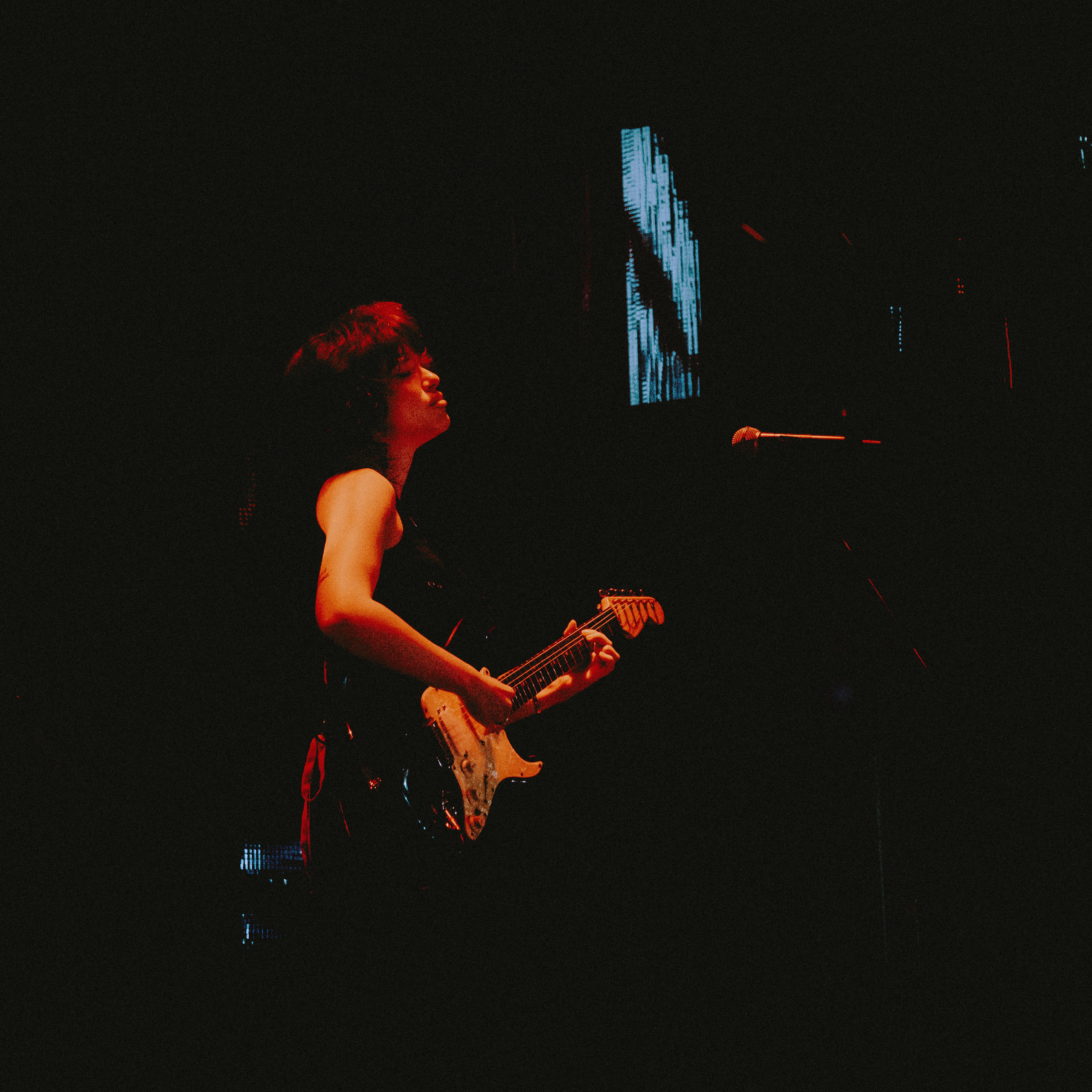 SALUKI. Алёна Большакова — Фотограф