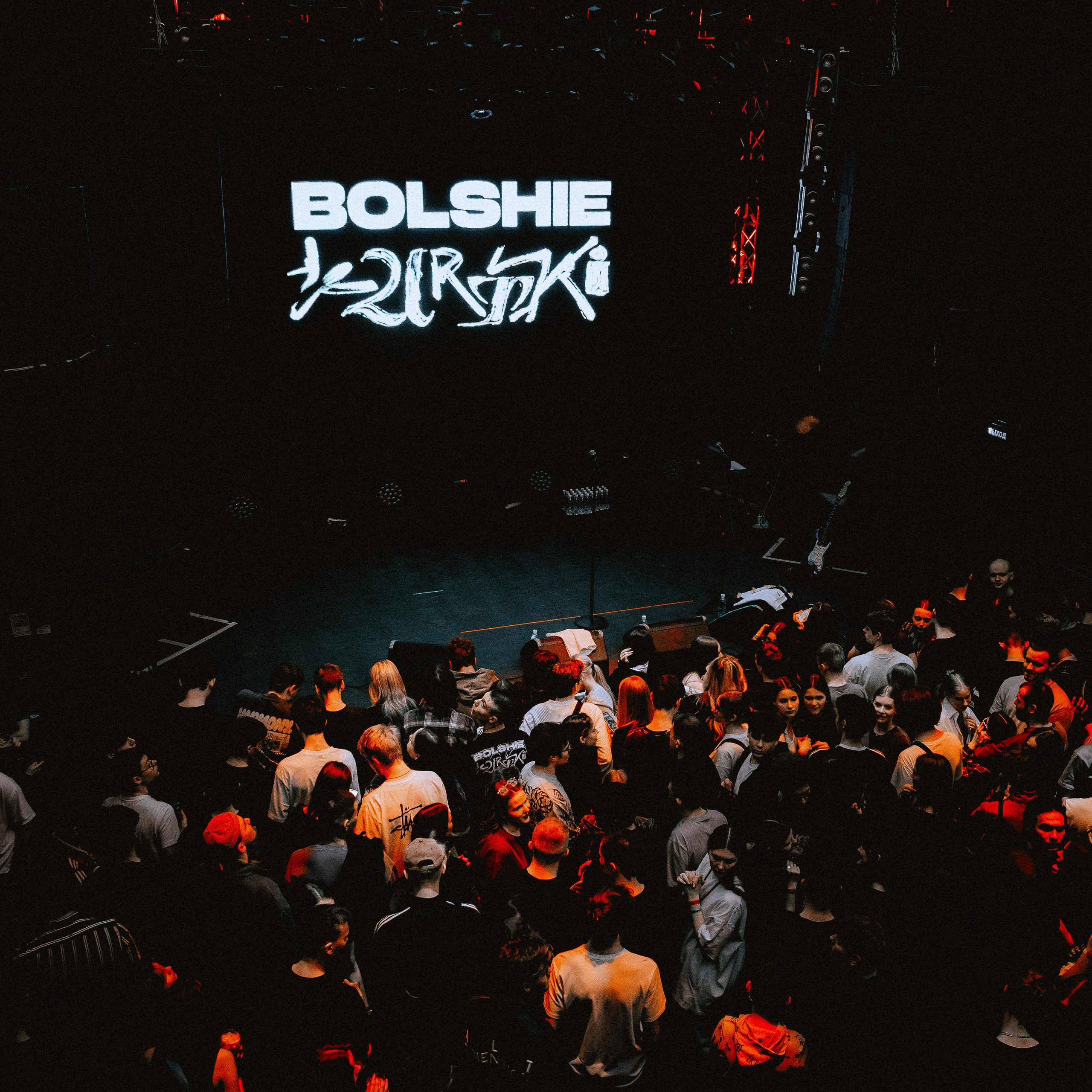 SALUKI. Алёна Большакова — Фотограф