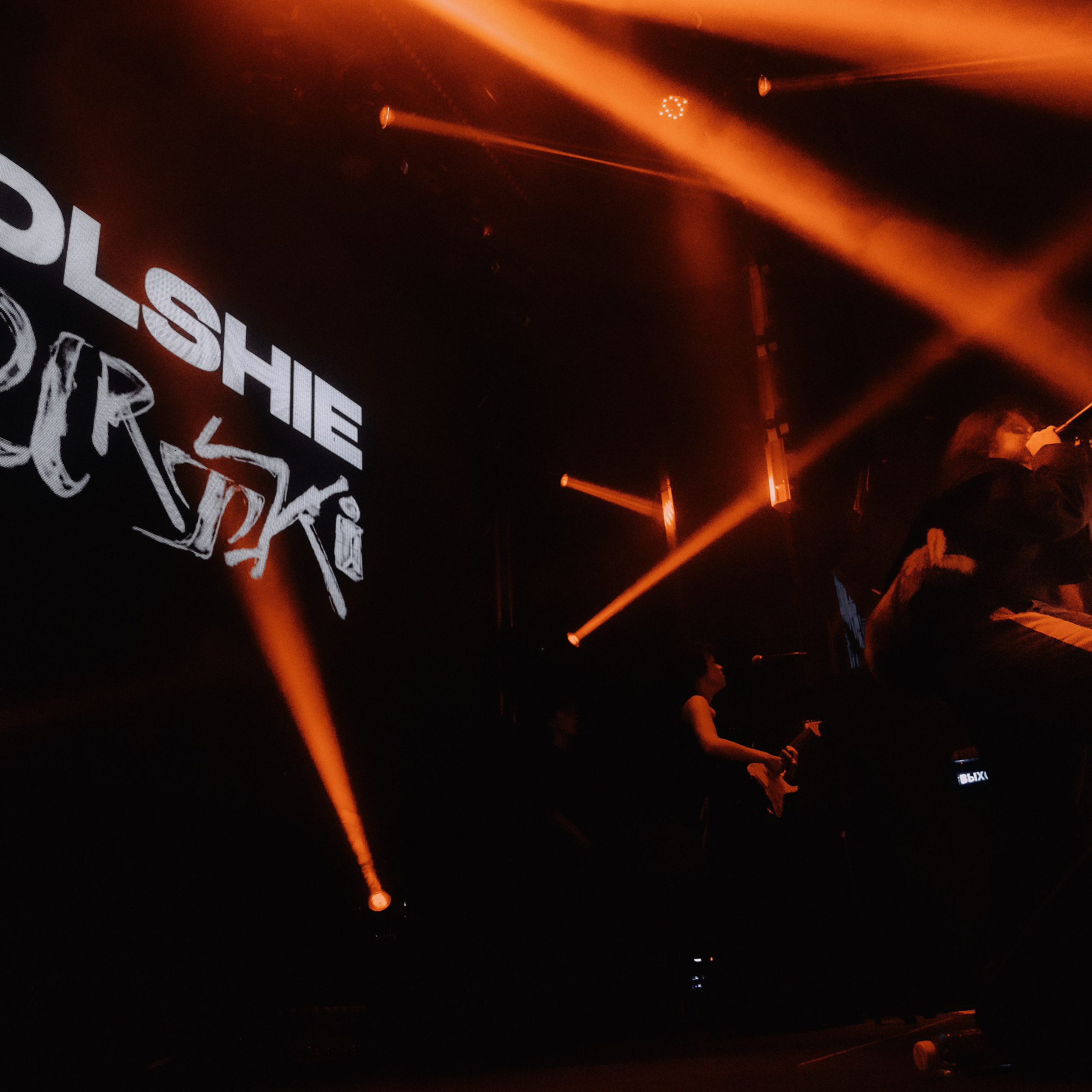 SALUKI. Алёна Большакова — Фотограф