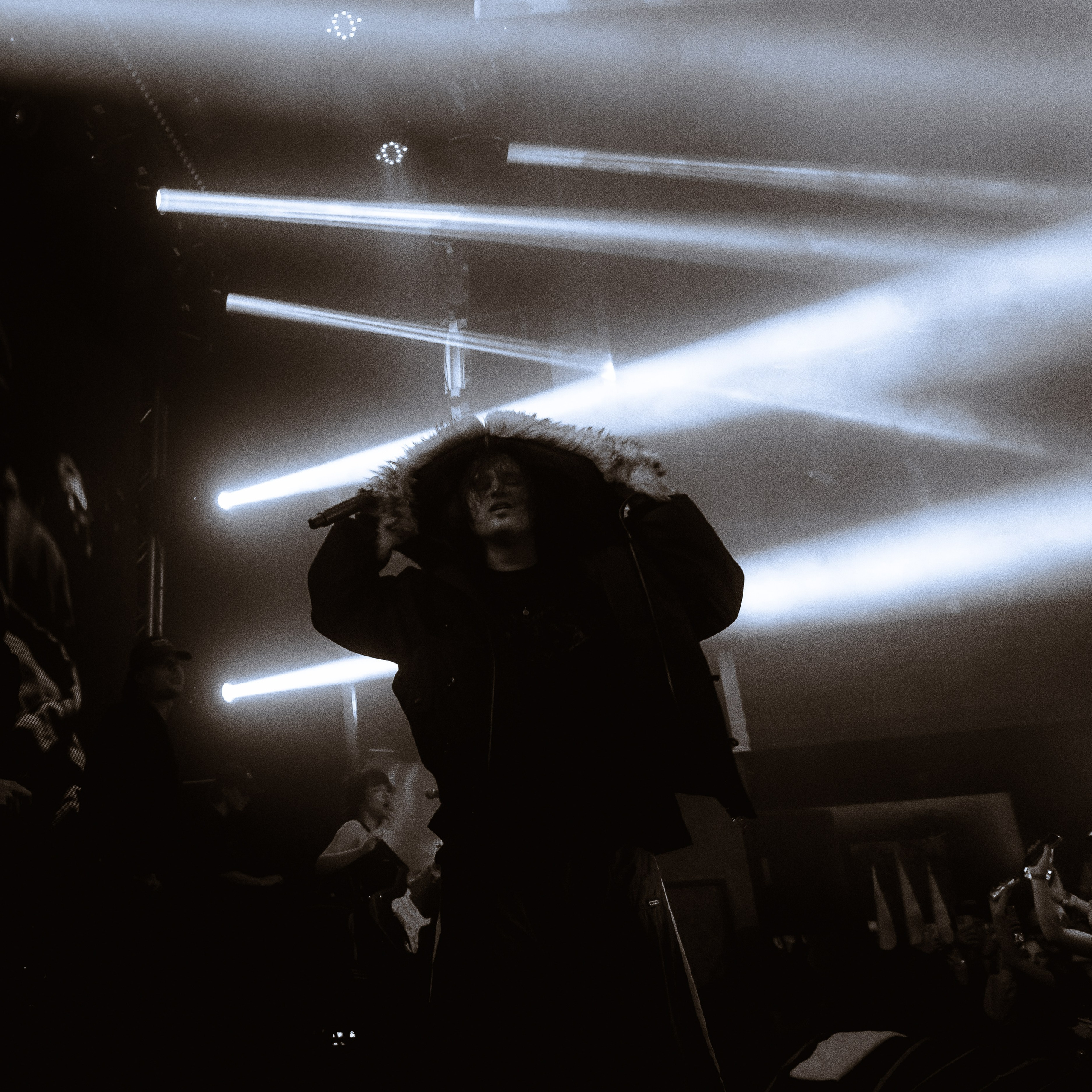 SALUKI. Алёна Большакова — Фотограф