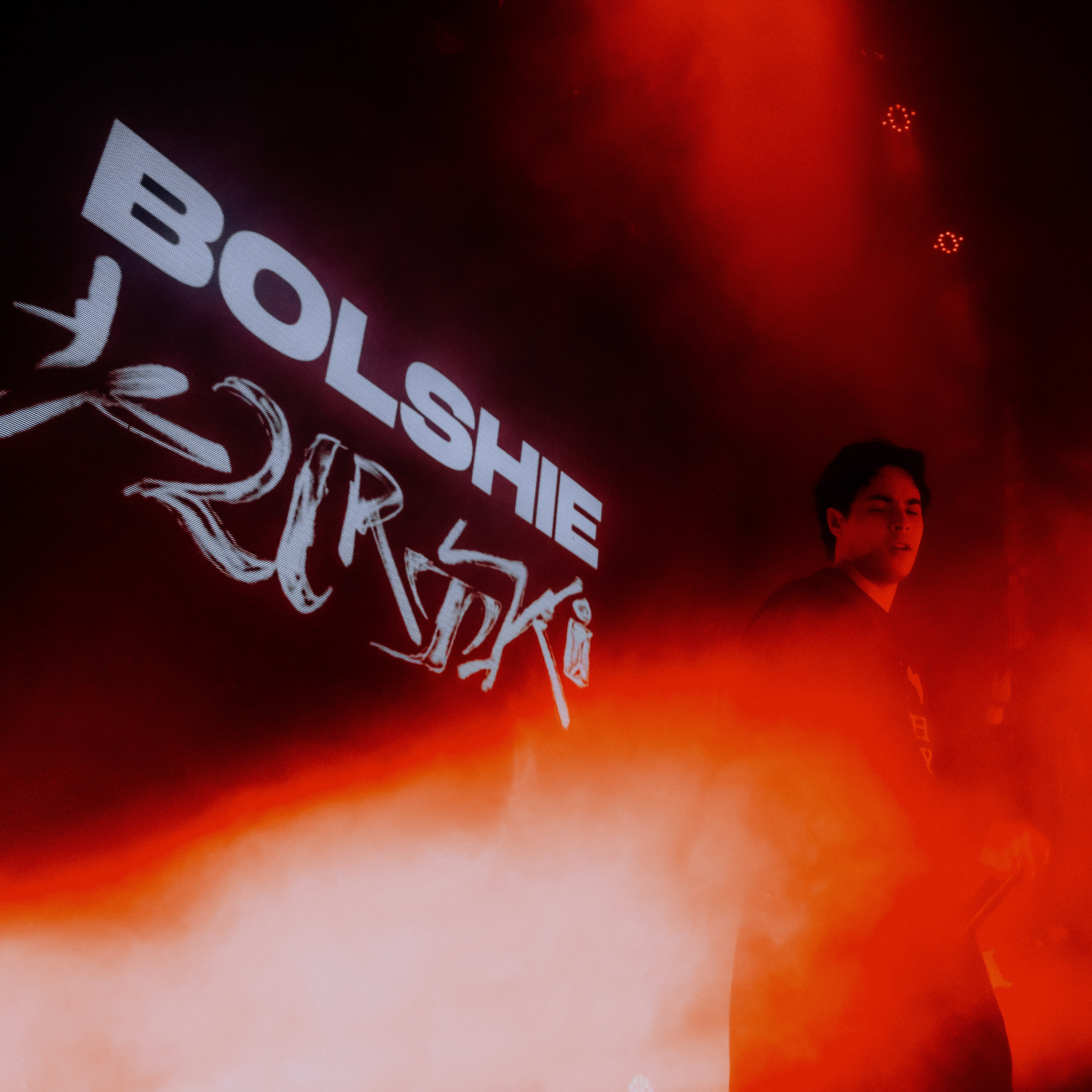 SALUKI. Алёна Большакова — Фотограф