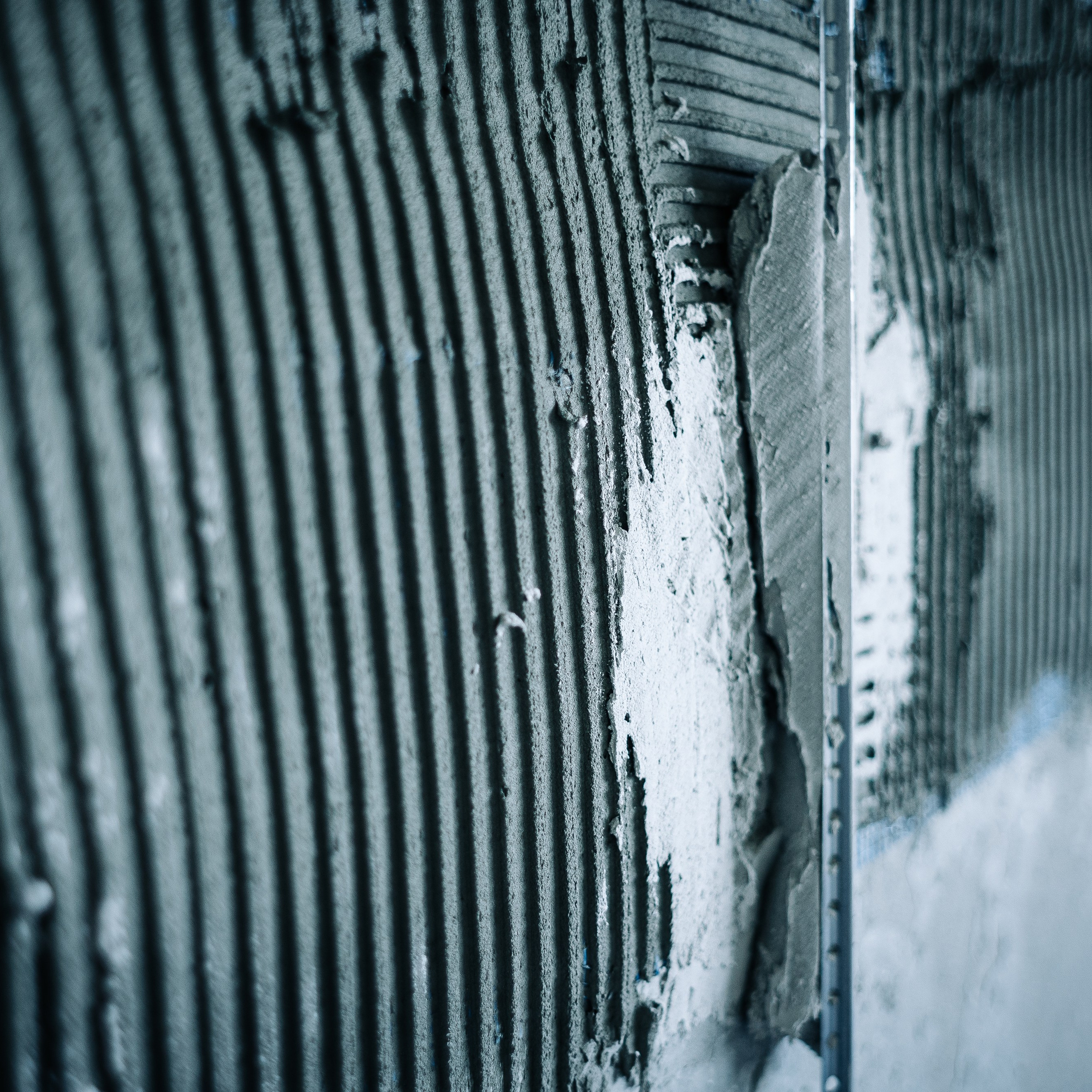 Репортаж. Алёна Большакова — Фотограф