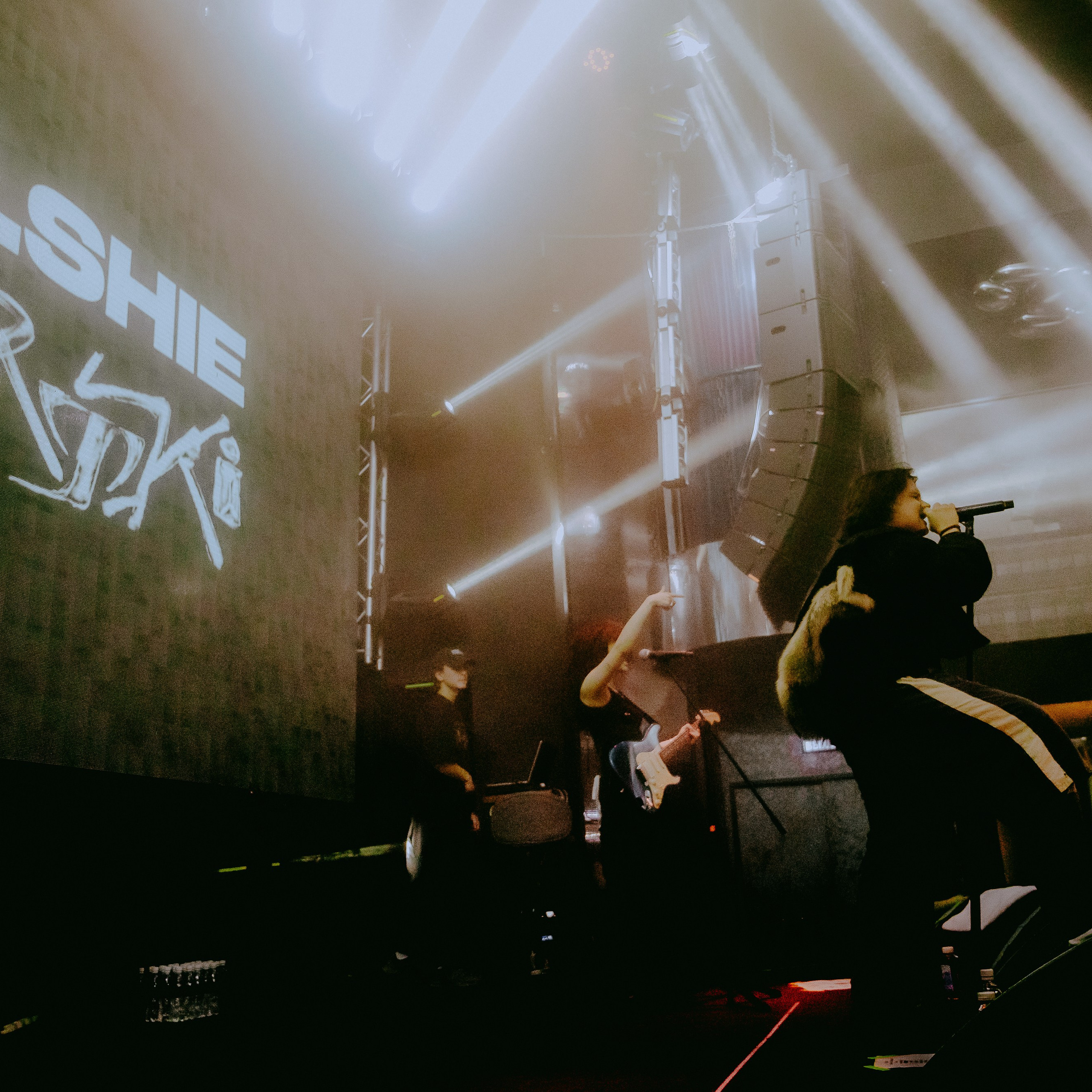 SALUKI. Алёна Большакова — Фотограф