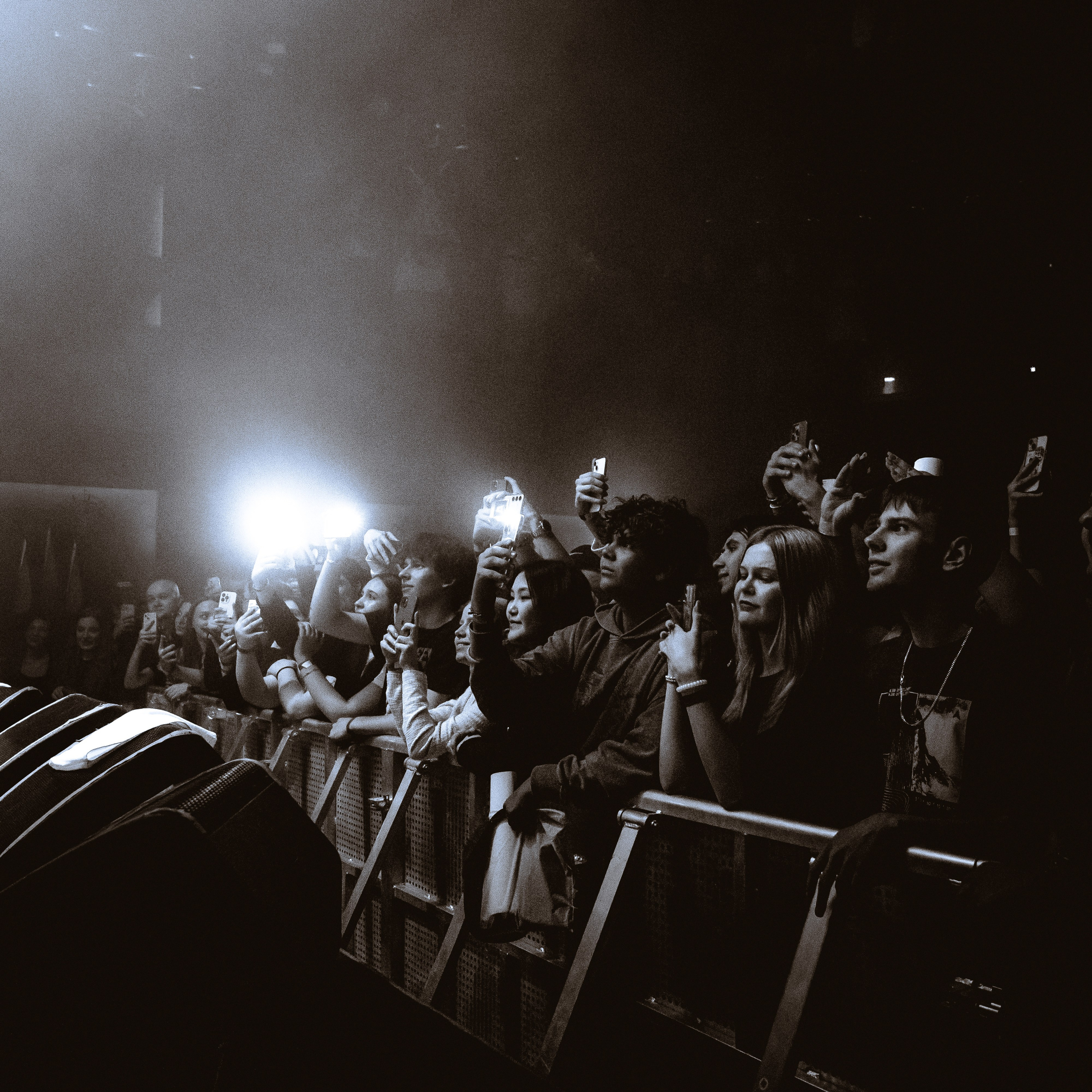 SALUKI. Алёна Большакова — Фотограф