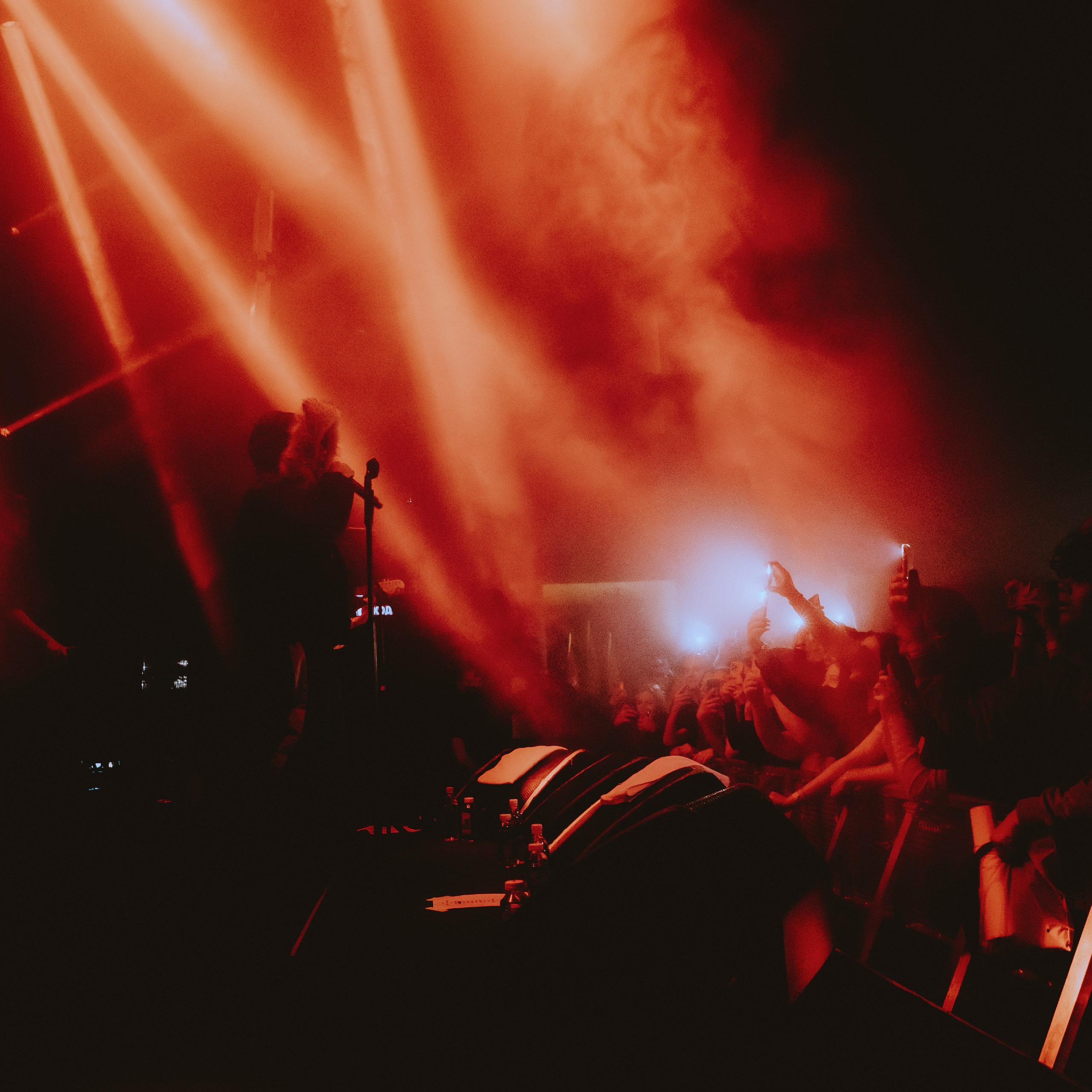 SALUKI. Алёна Большакова — Фотограф