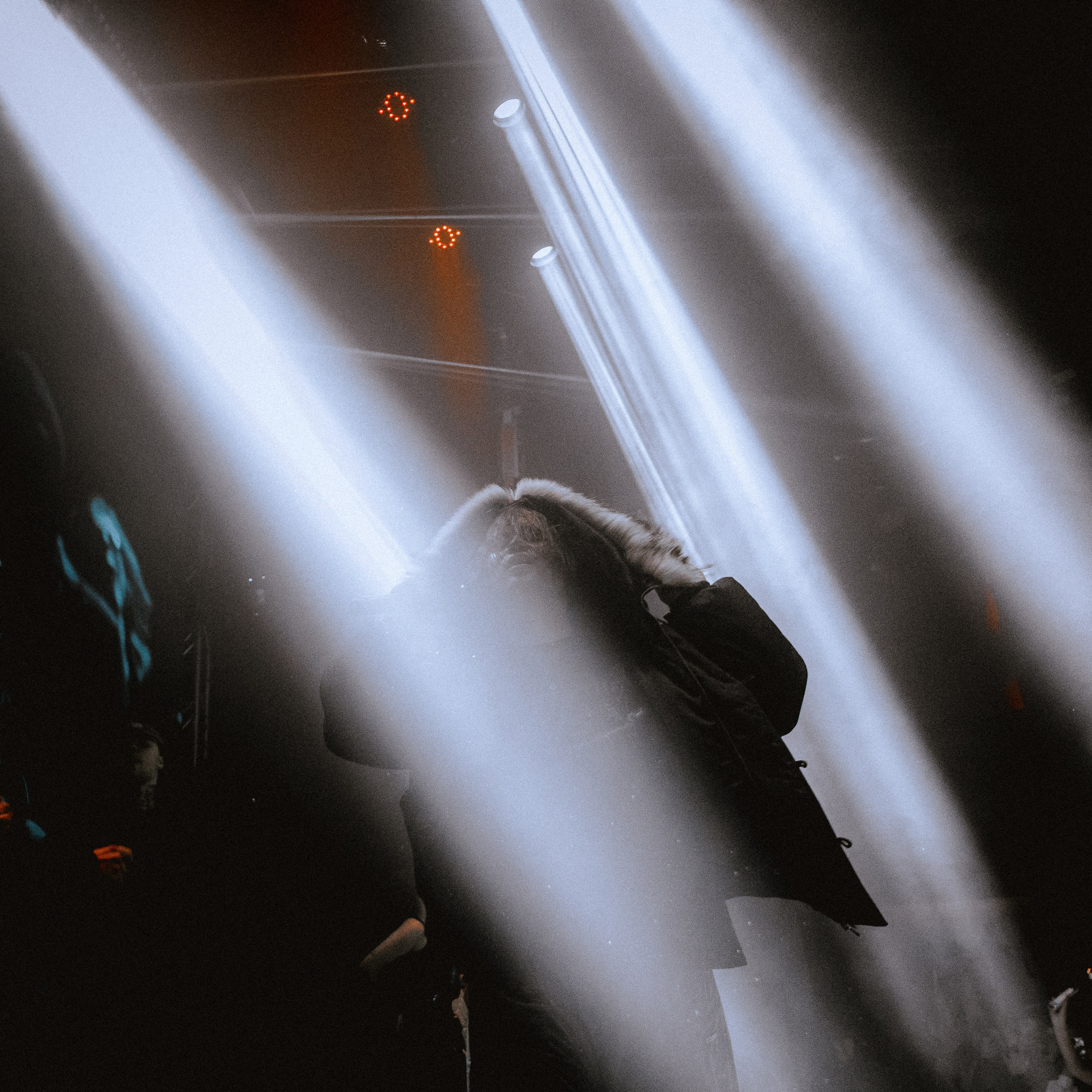 SALUKI. Алёна Большакова — Фотограф