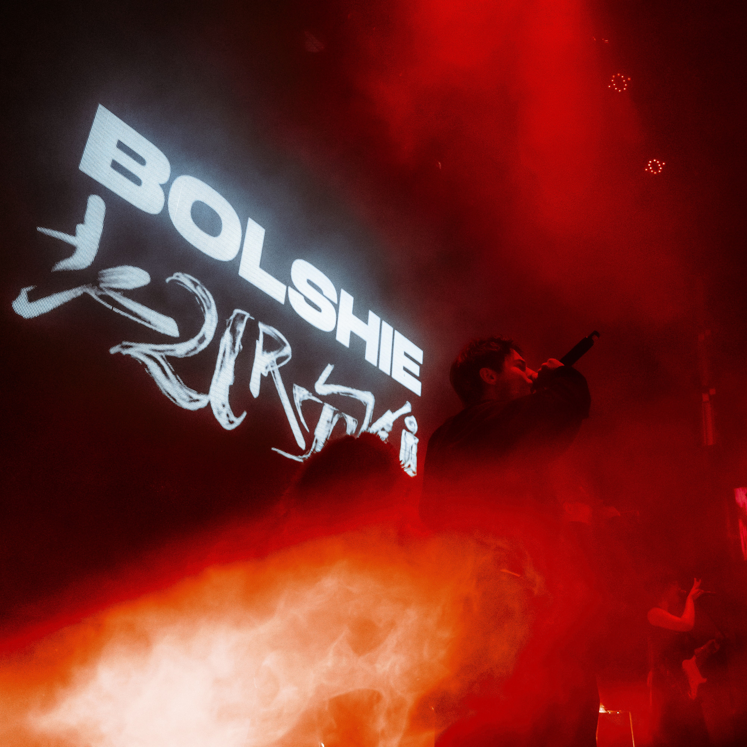 SALUKI. Алёна Большакова — Фотограф