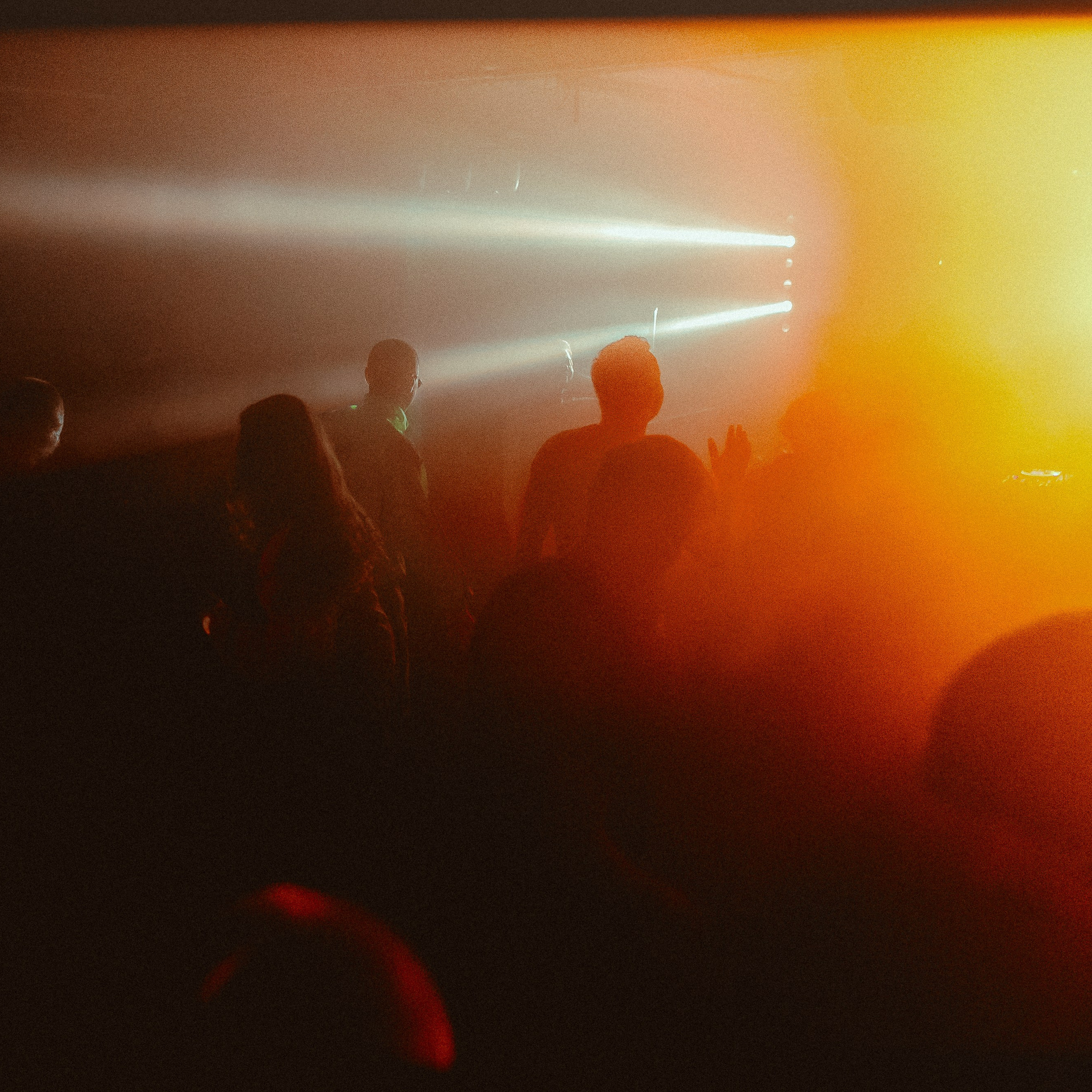 D&B. Алёна Большакова — Фотограф