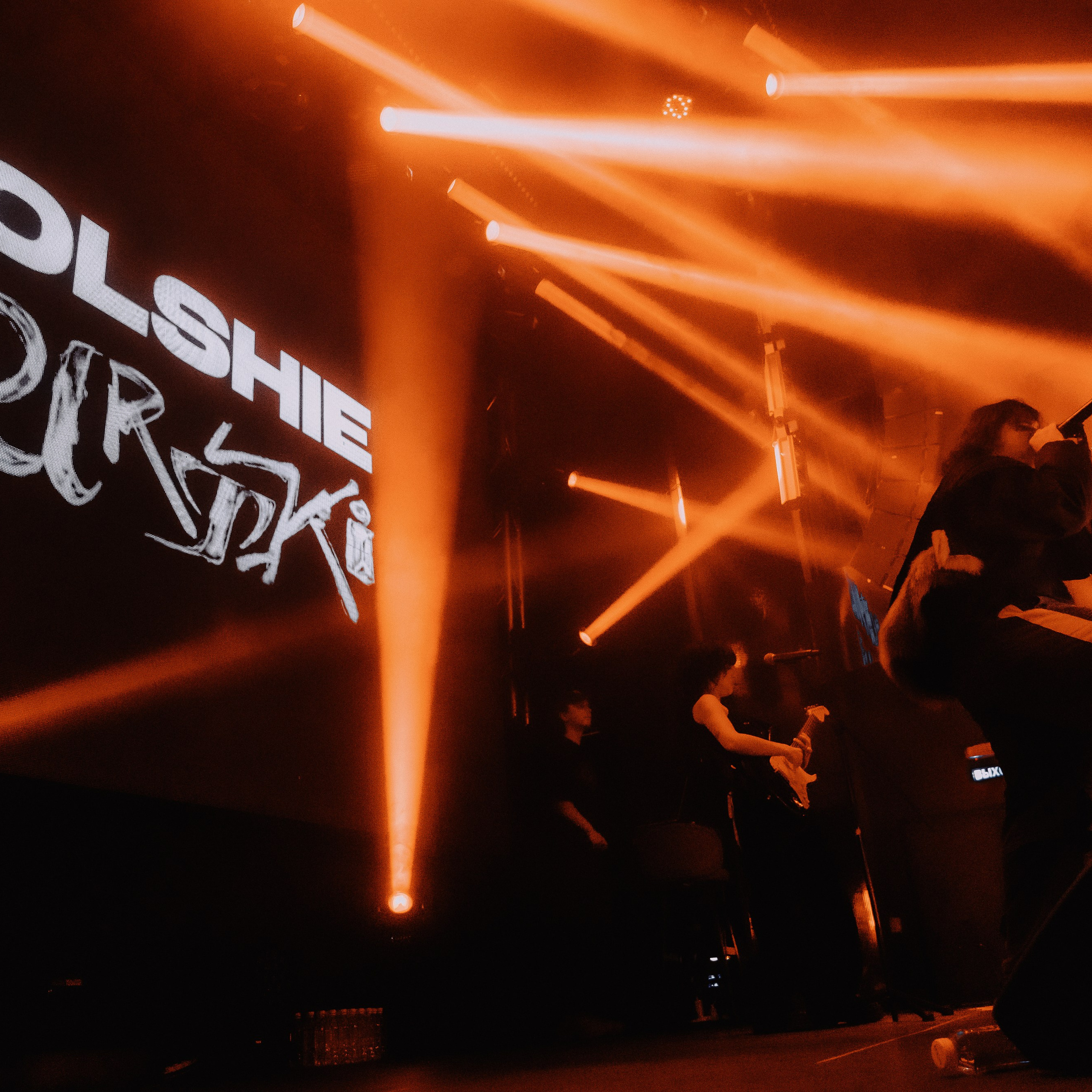 SALUKI. Алёна Большакова — Фотограф