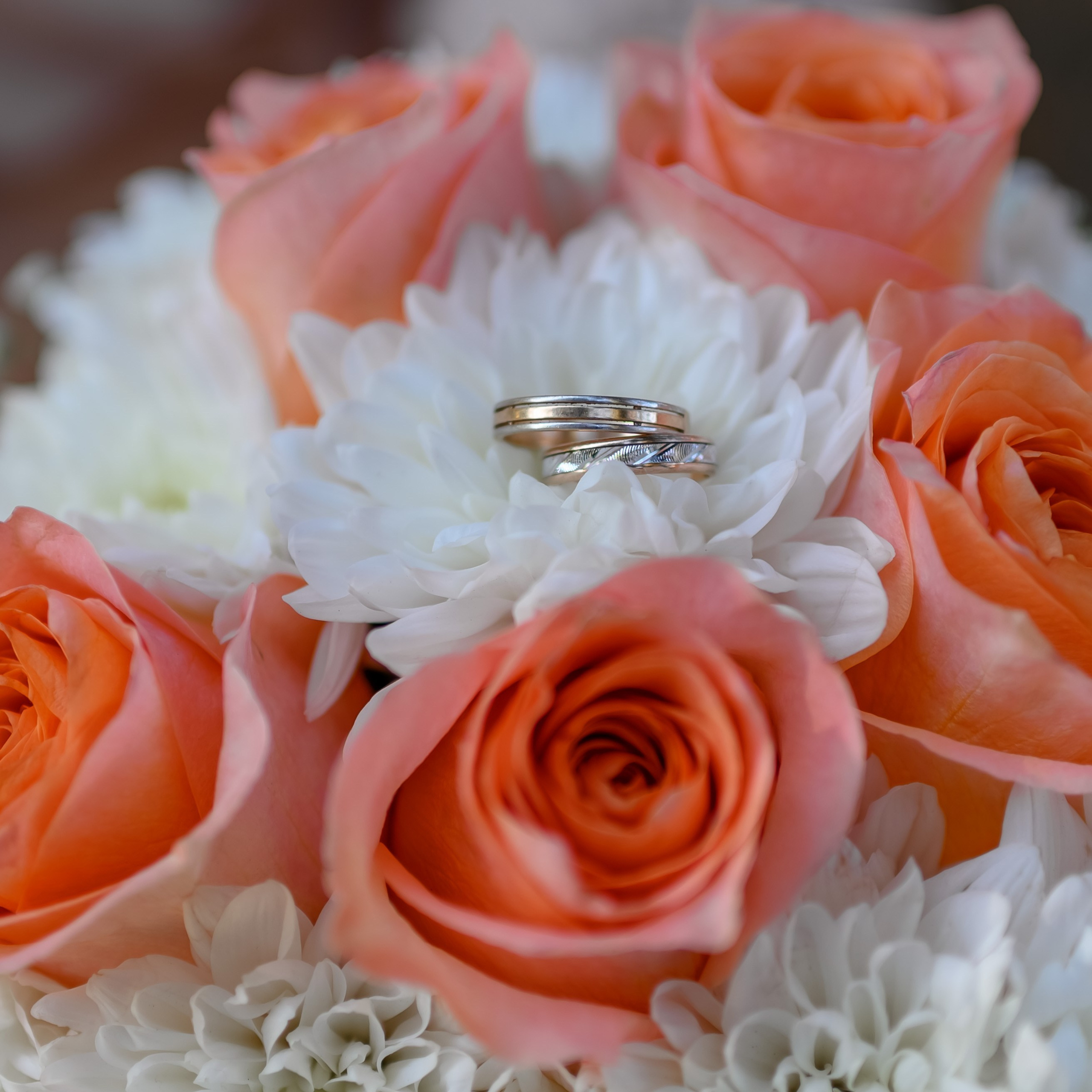 Отзывы. Юлия Басня семейный и свадебный фотограф в Донецке