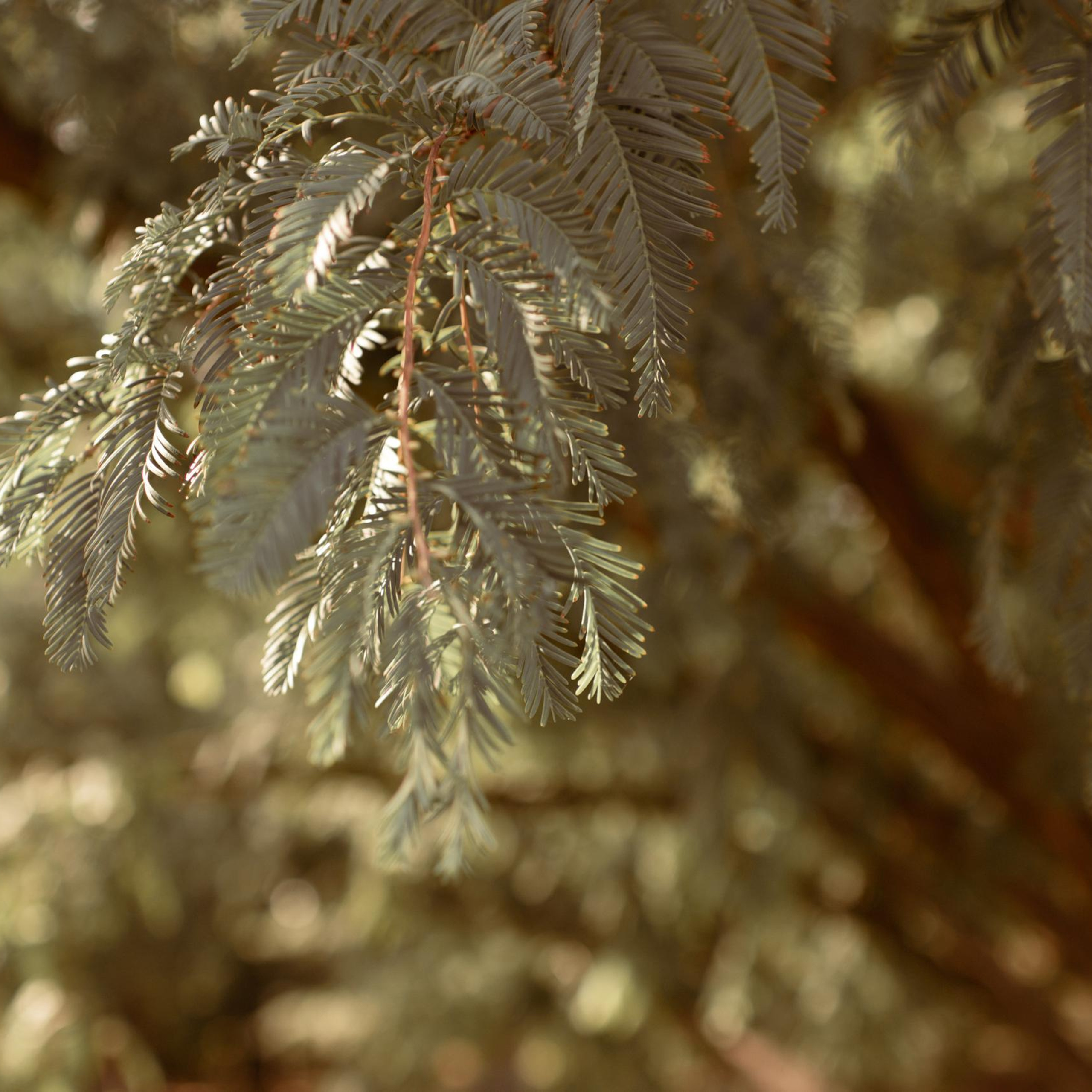 Отзывы. Юлия Басня семейный и свадебный фотограф в Донецке