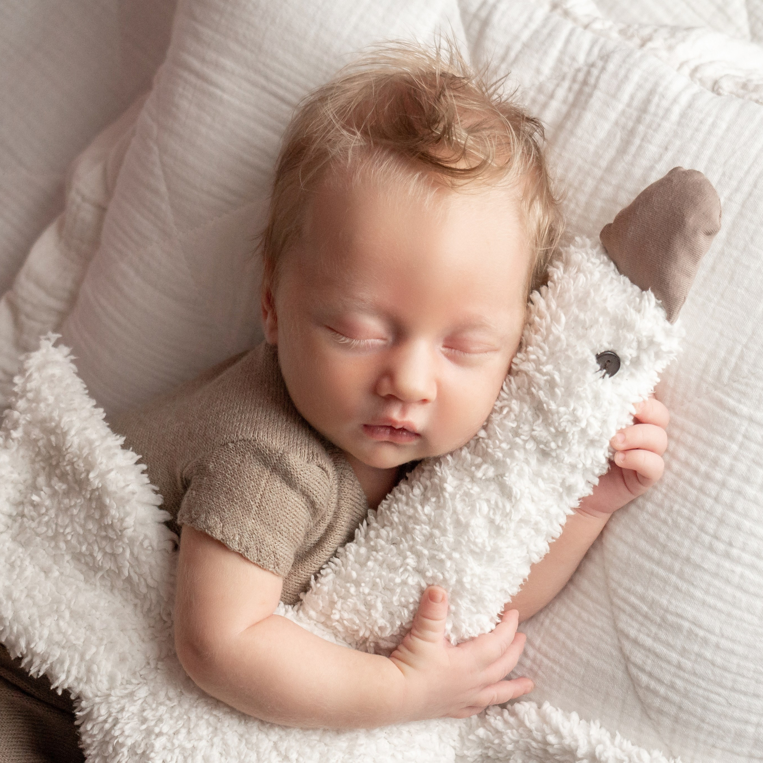 Отзывы. Фотограф новорождённых Анапа Елена Кушнарь