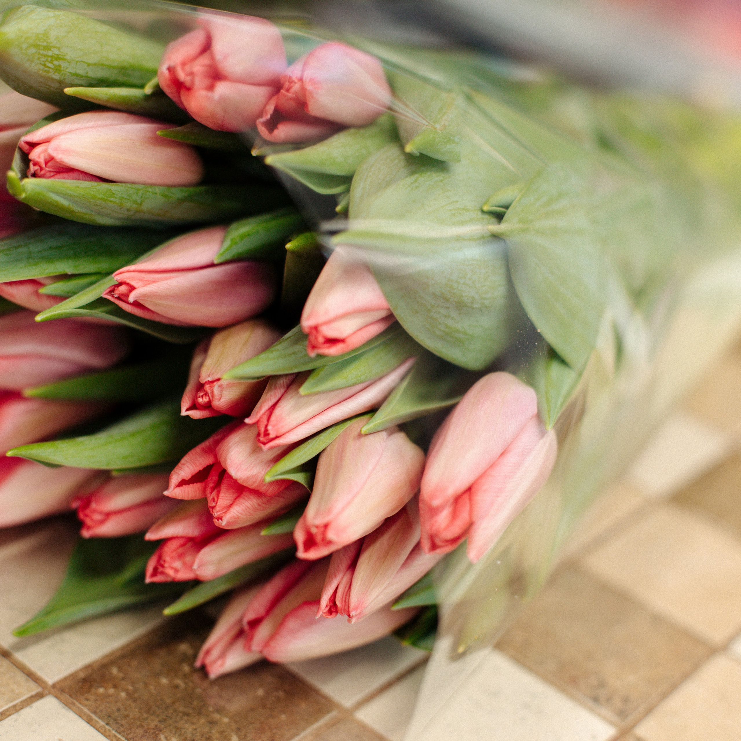 Отзывы. Фотограф Москва ✨Мария Назарова