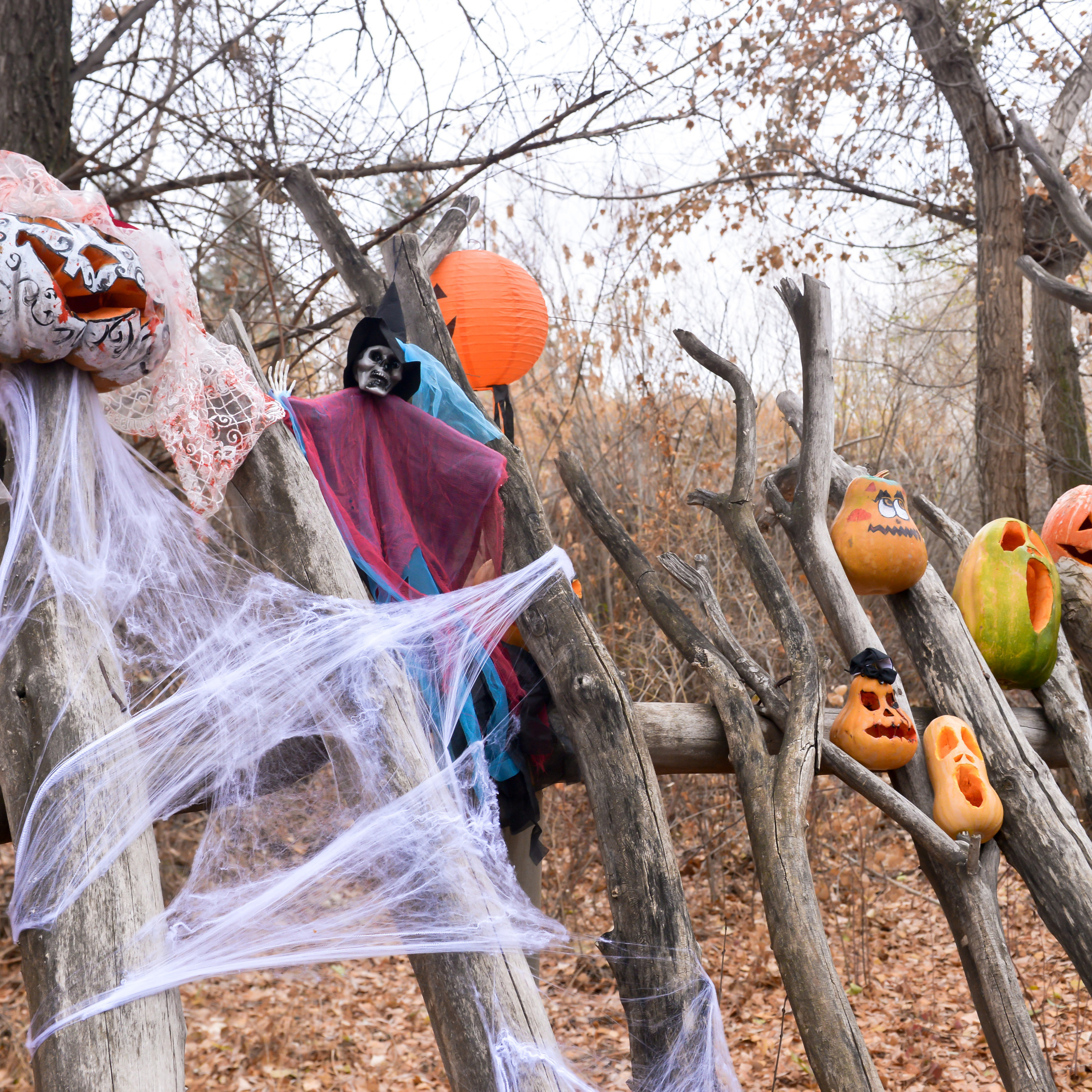 Отзывы. Фотограф в городе Актобе