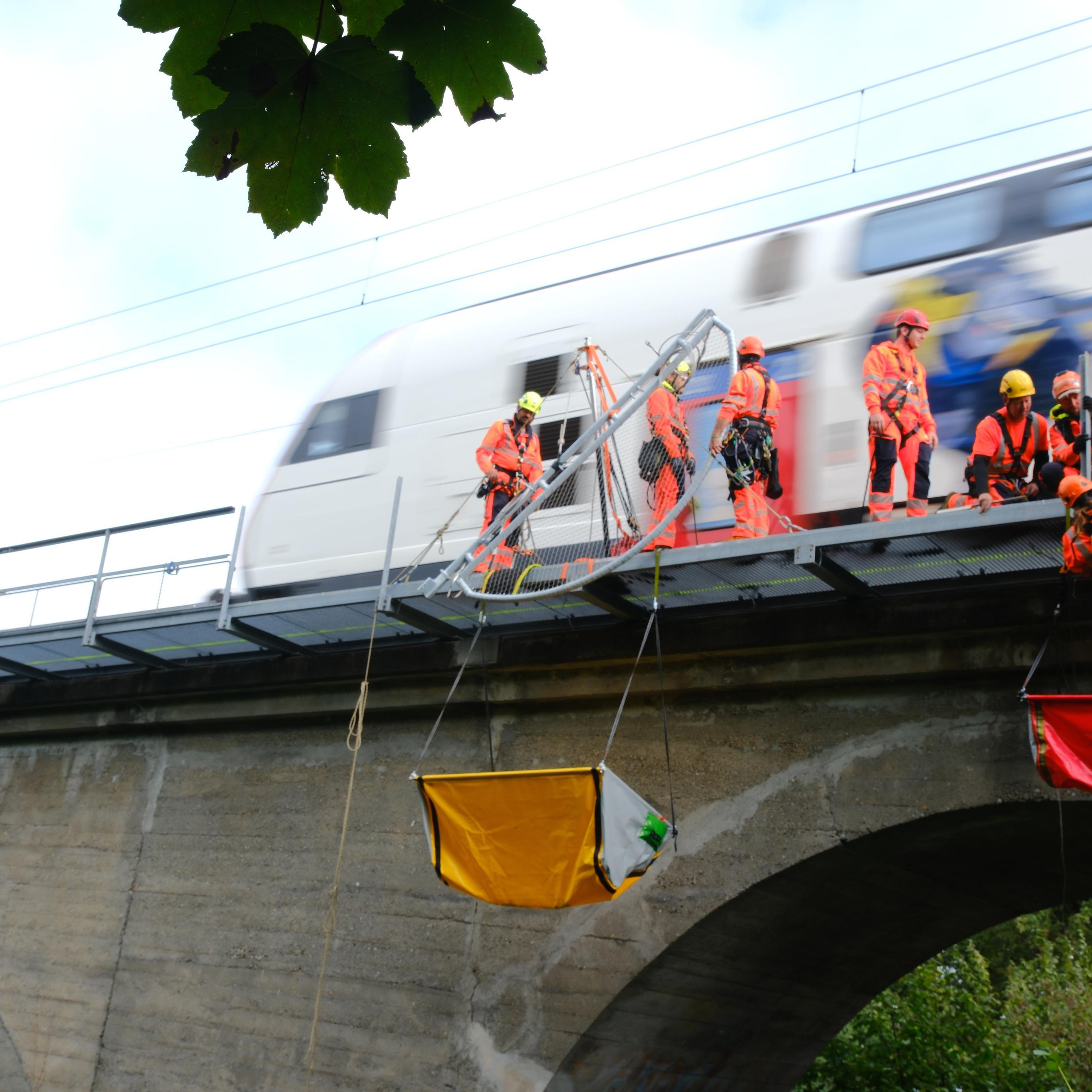 Feedback. Elena Harlaut Photographer