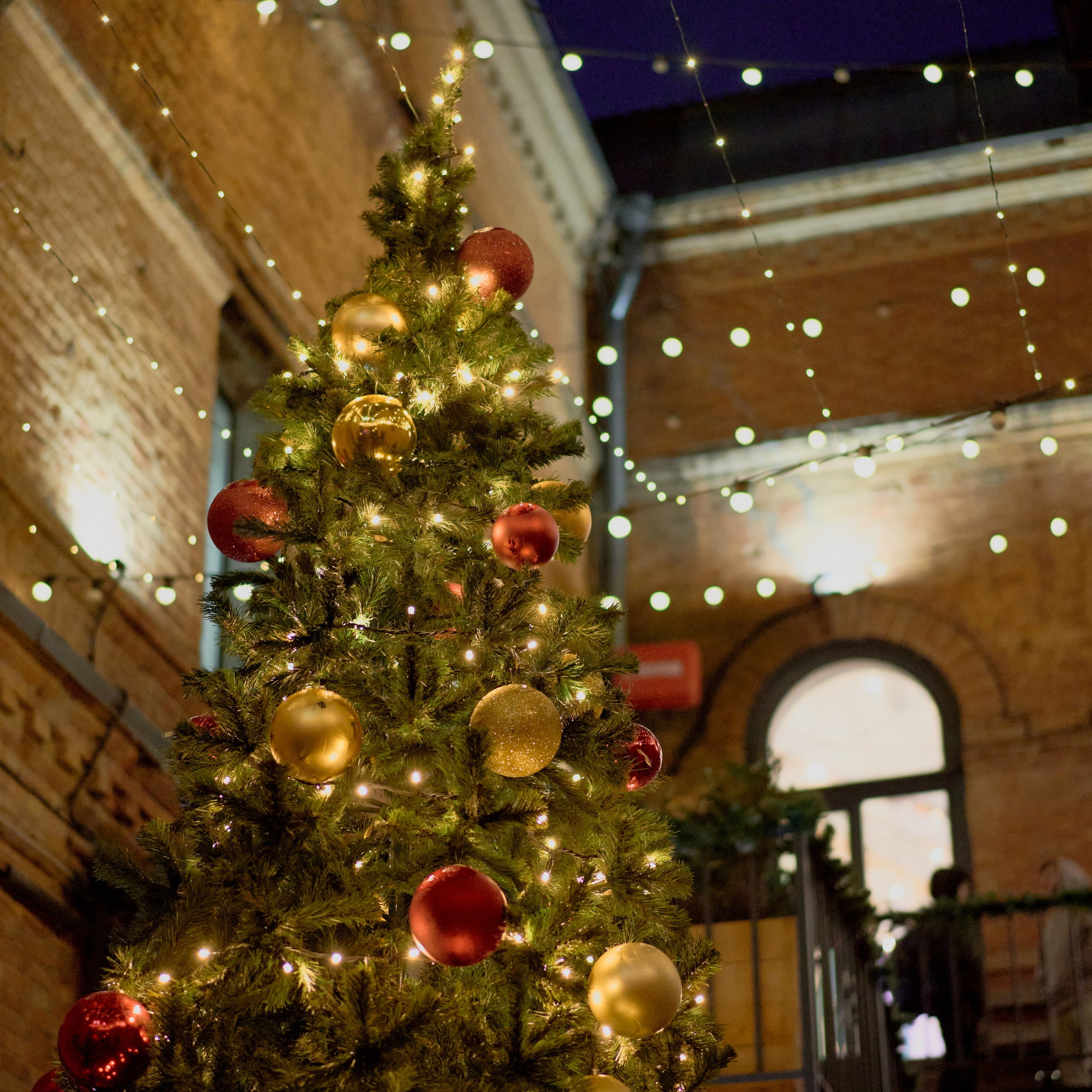 CONCEPTICA МАРКЕТ