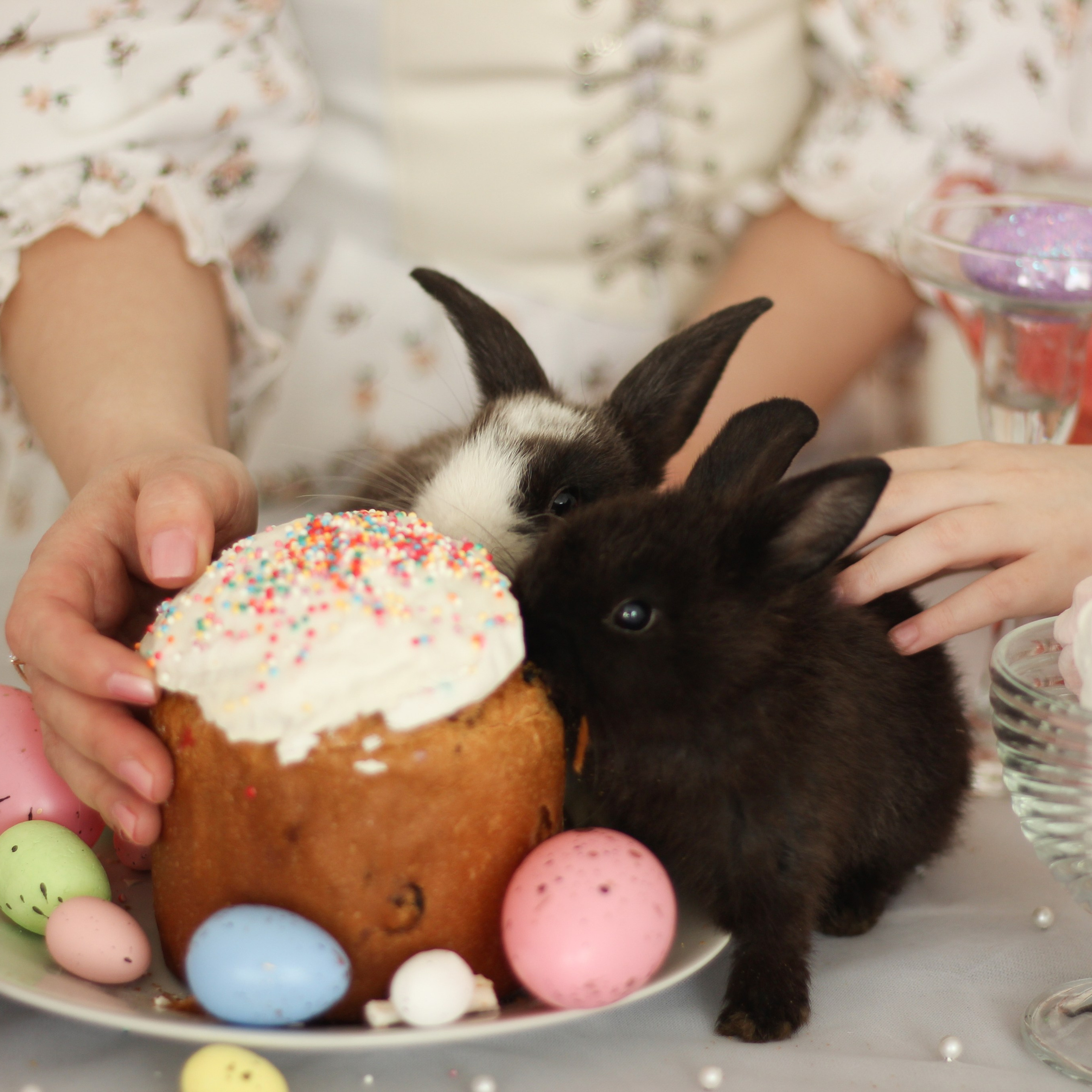 Особая связь мамы и дочери