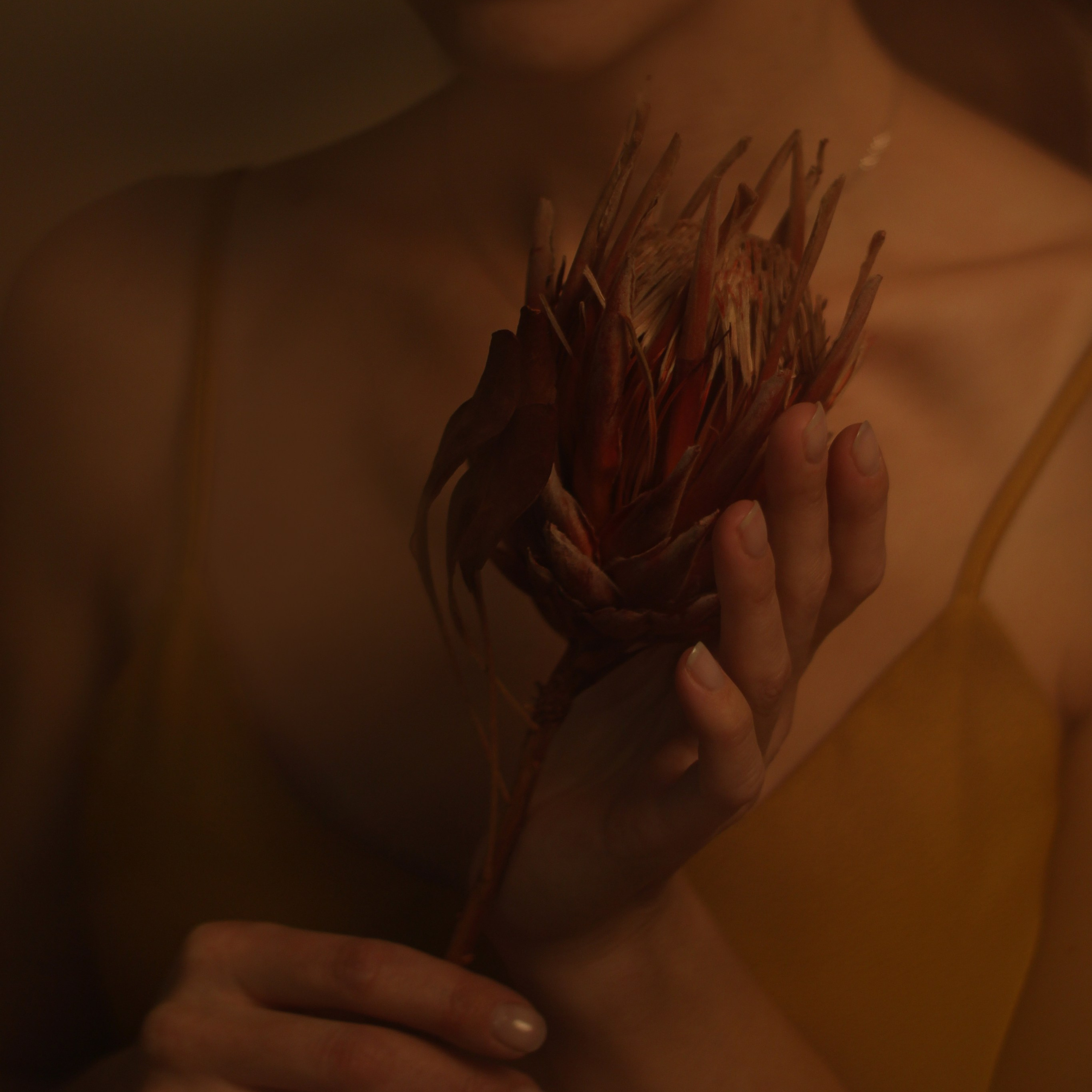 «Аве Мария»