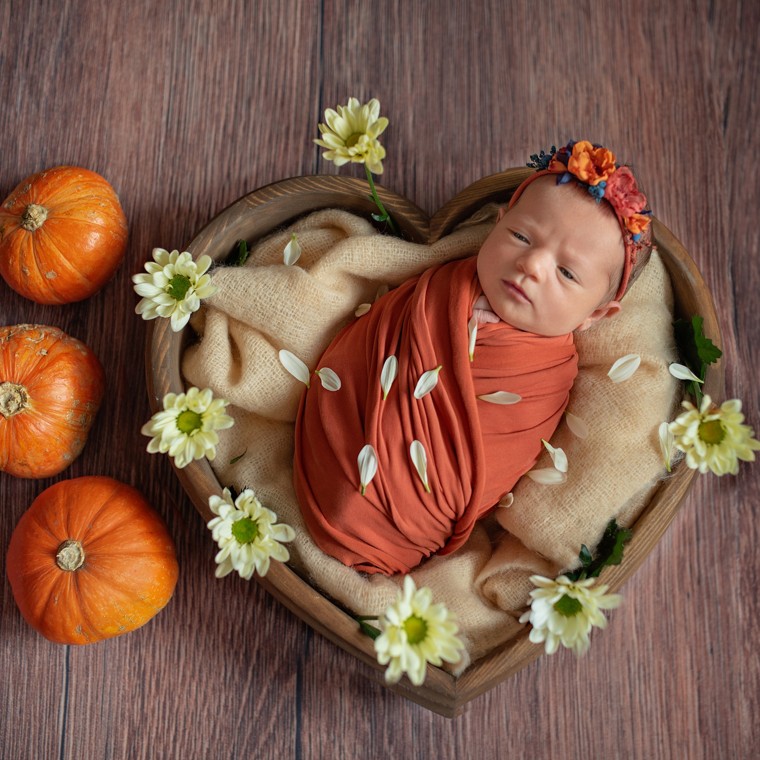 Малыши. Фотограф новорожденных в Санкт-Петербурге Юлия Борисова