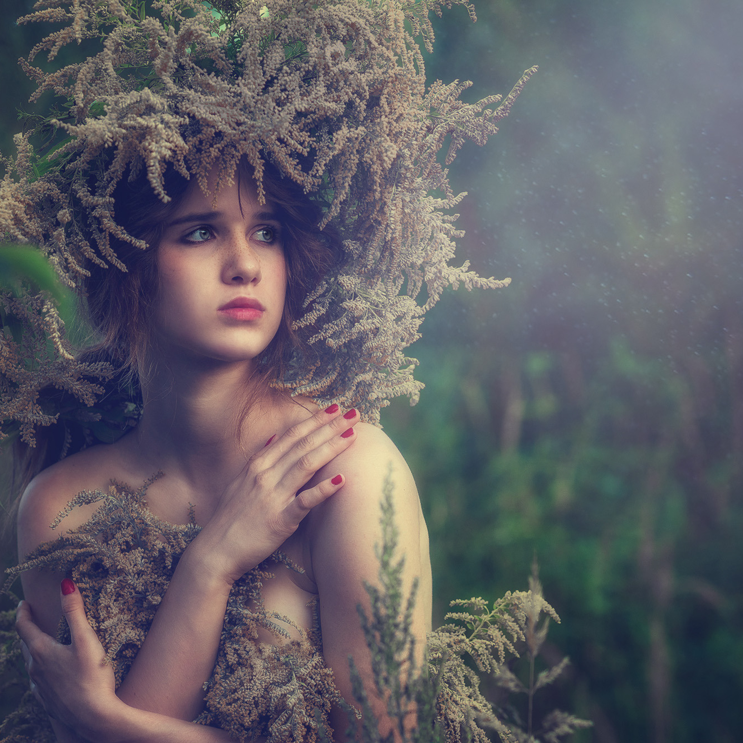 Калина в полевых цветах