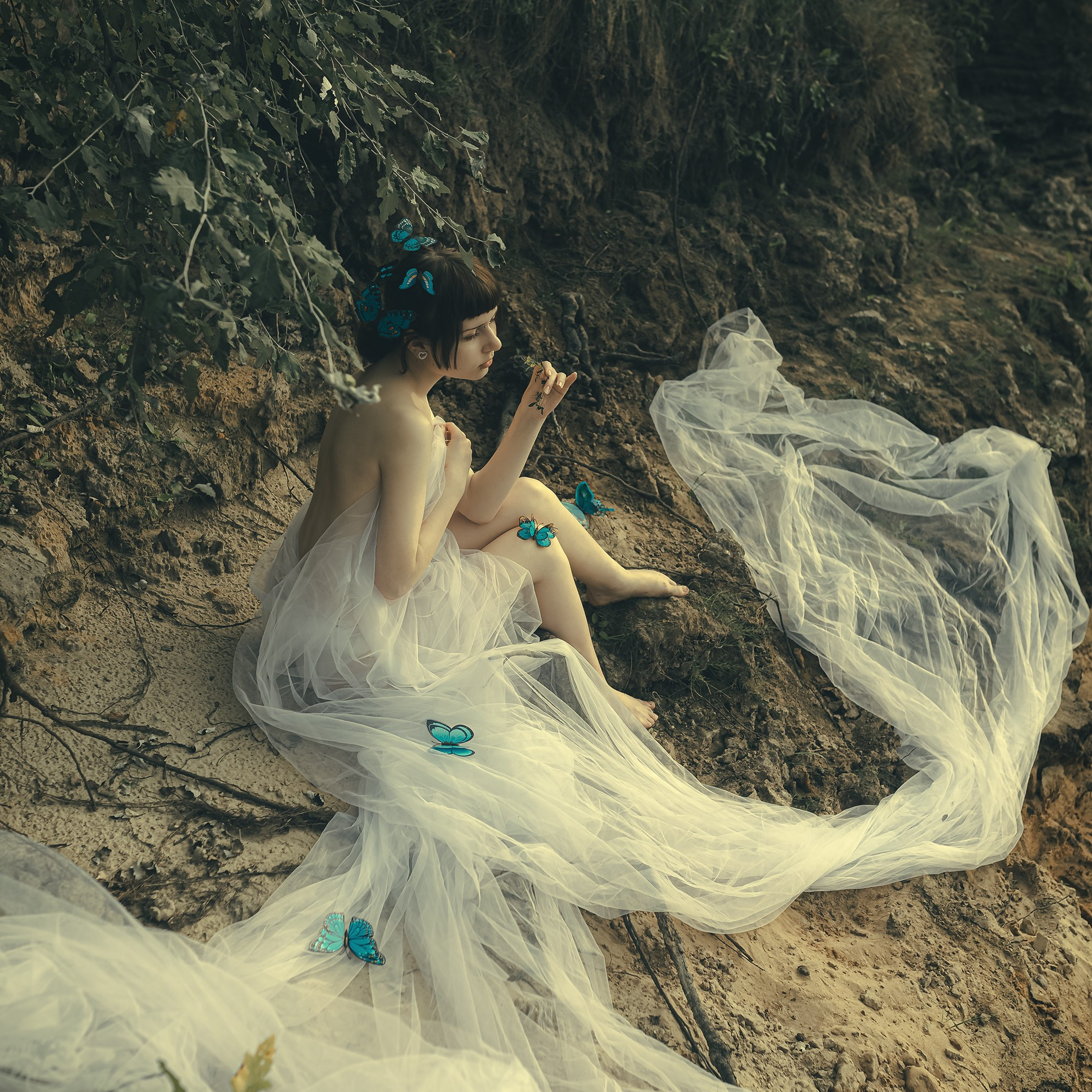 Утро Бабочки