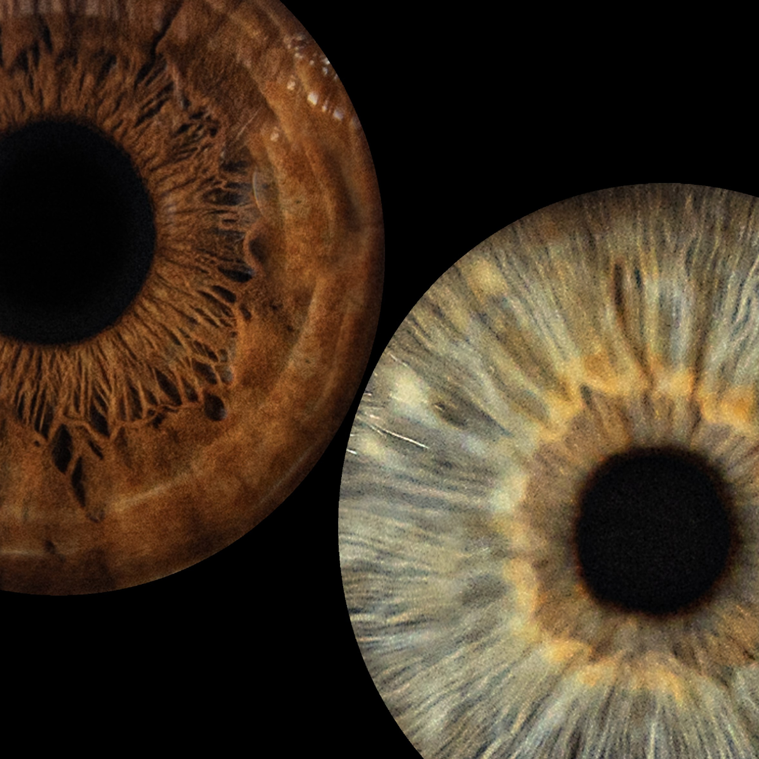 Отзывы. EYEtob | Фотография радужной оболочки | Тобольск