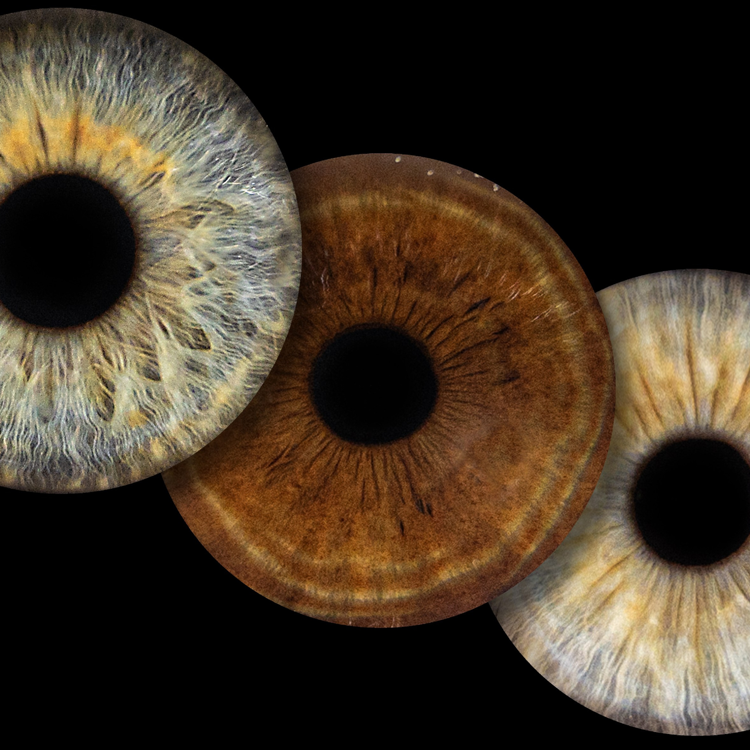 Отзывы. EYEtob | Фотография радужной оболочки | Тобольск