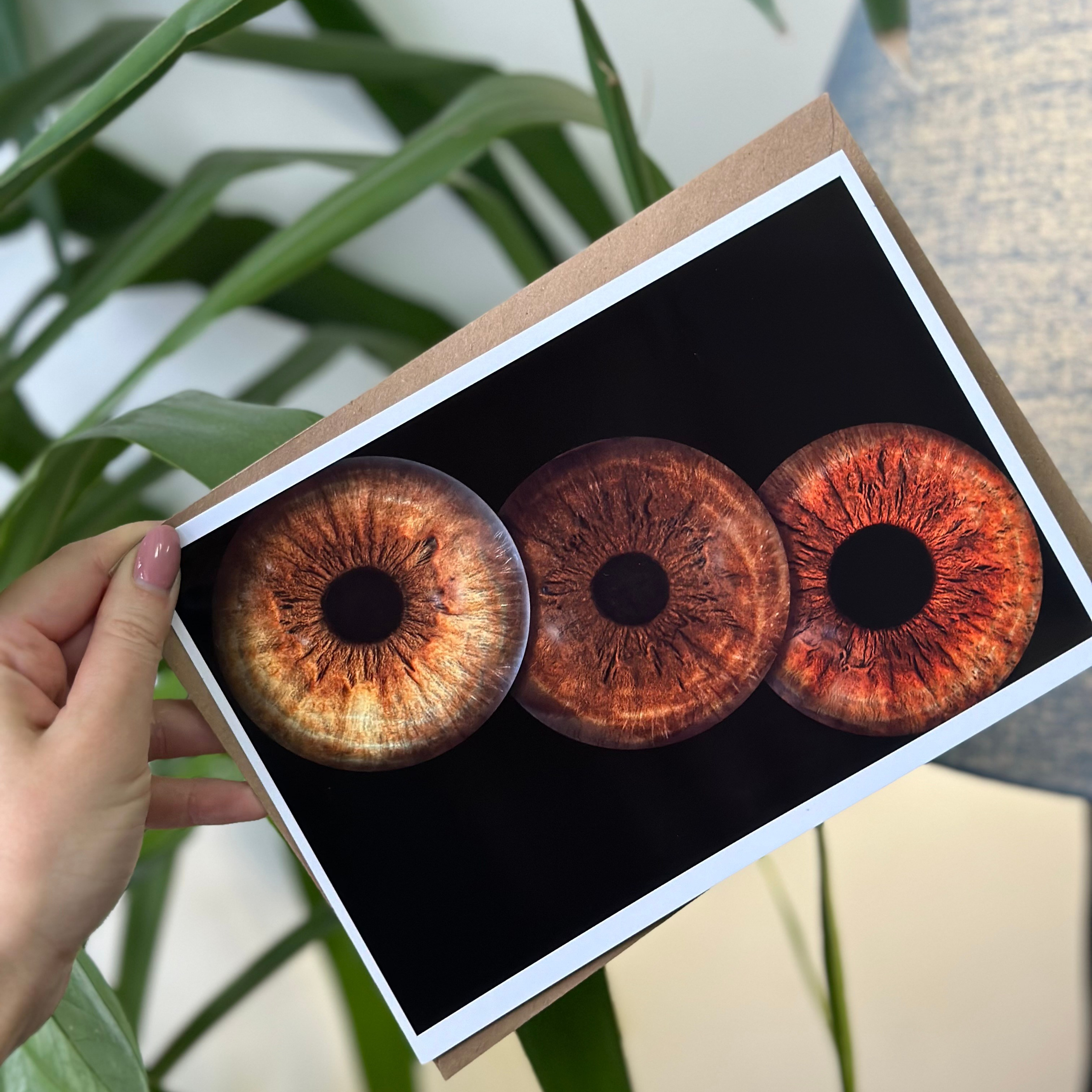 Отзывы. EYEtob | Фотография радужной оболочки | Тобольск