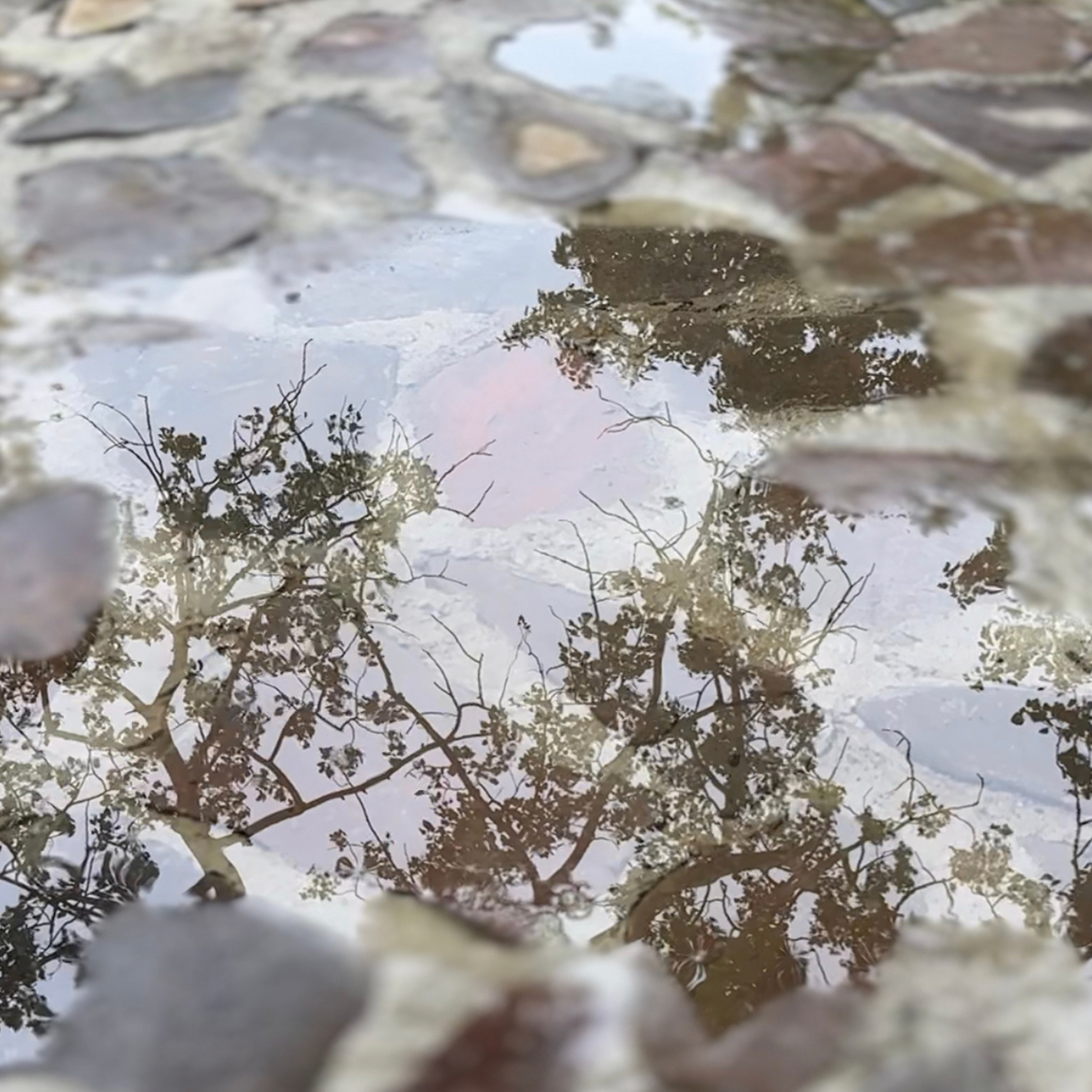 Фотосъёмка для соц сетей. Контент съёмка. Арт-фотограф. Фотосъемка, авторские принты для интерьера