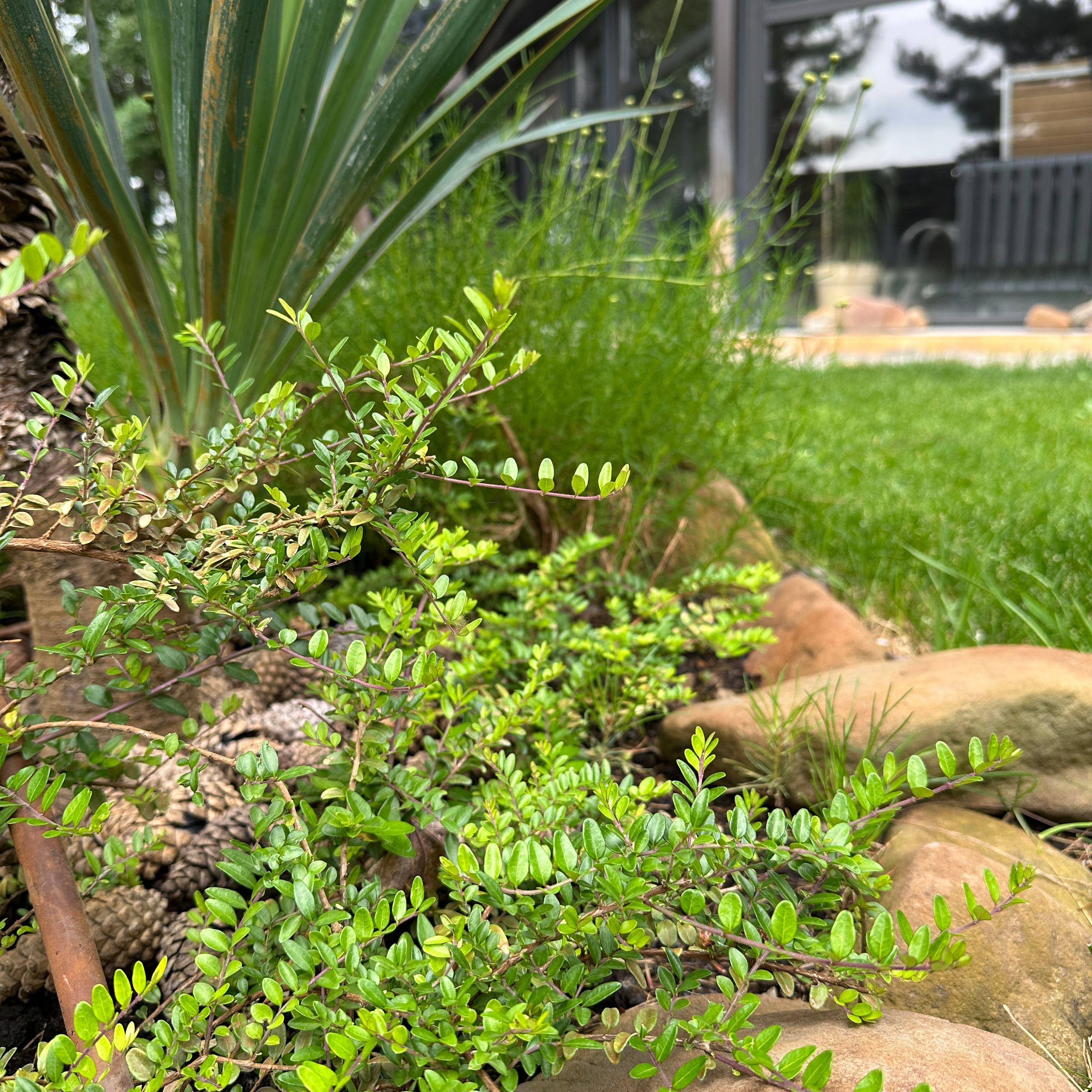 Фотосъёмка для соц сетей. Контент съёмка. Арт-фотограф. Фотосъемка, авторские принты для интерьера