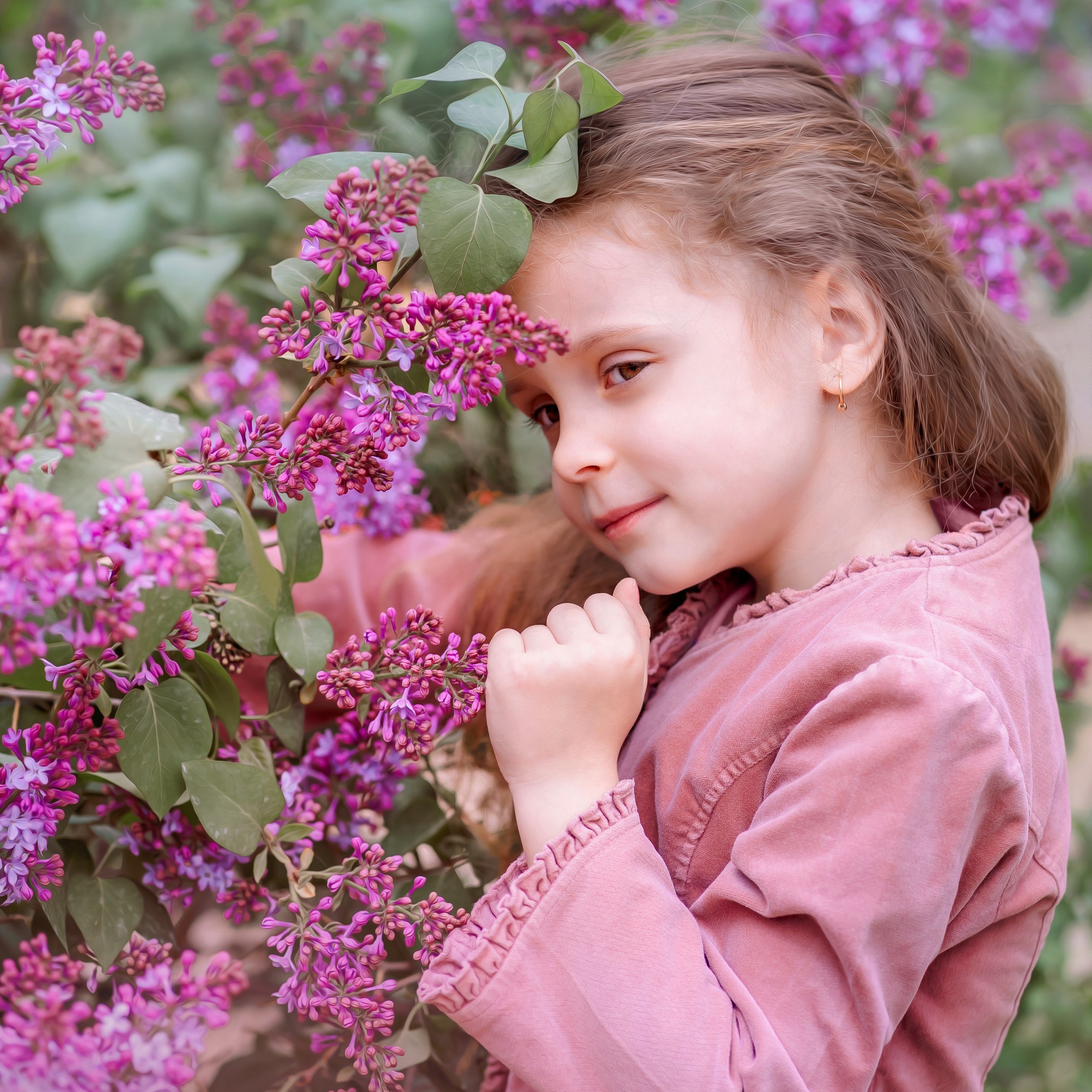 Сиреневое волшебство