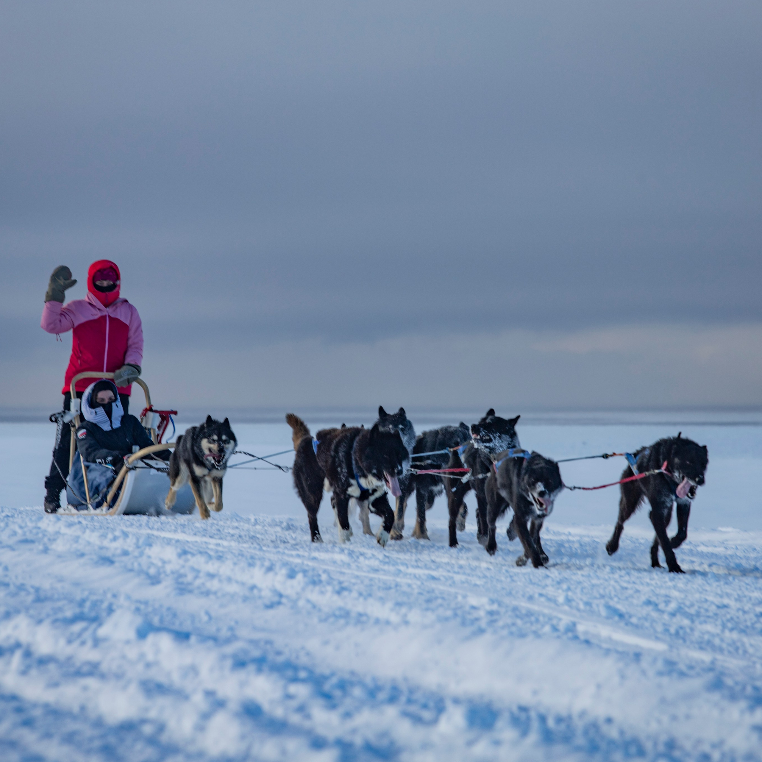 Отзывы. Фотограф Москва, Сергиев Посад