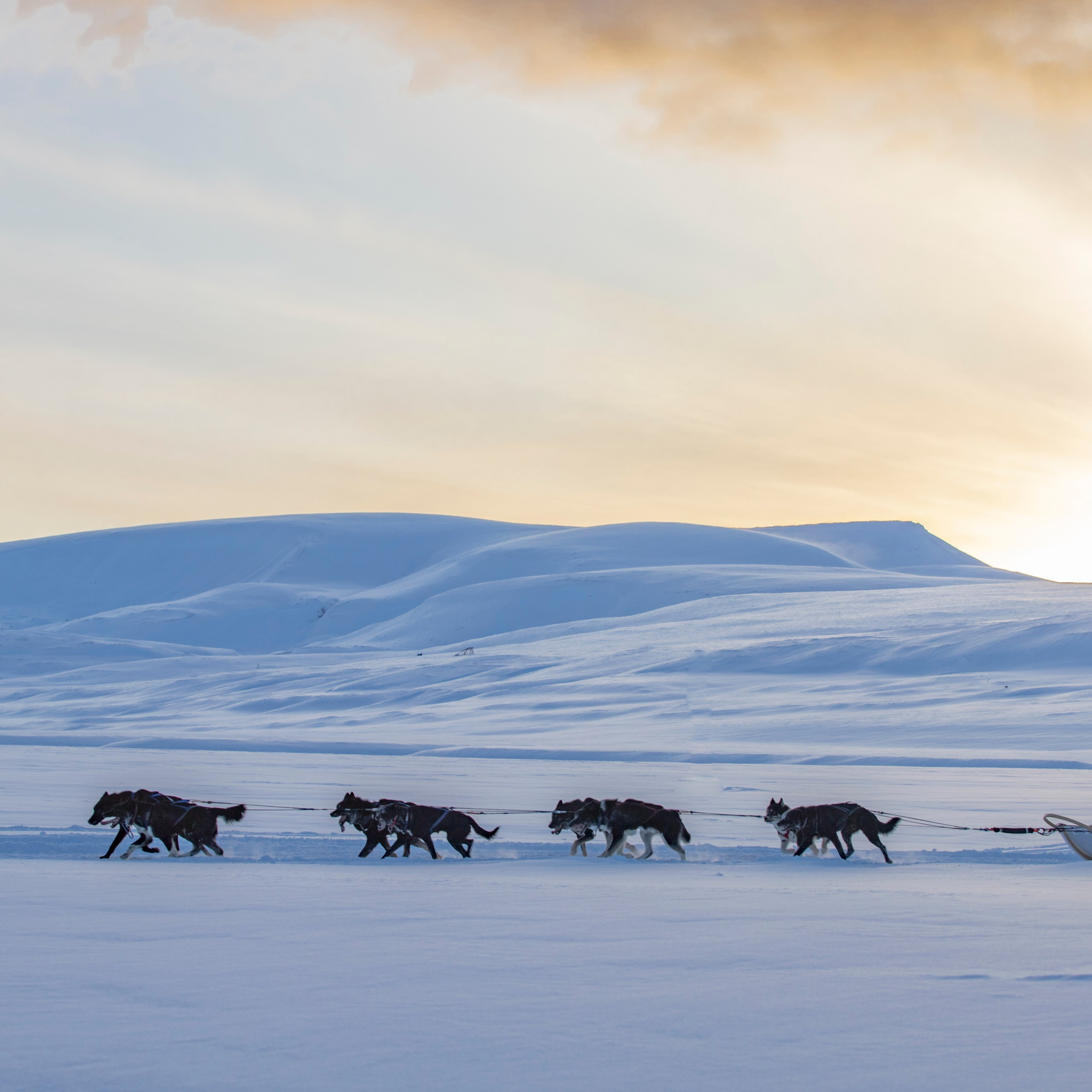 Отзывы. Фотограф Москва, Сергиев Посад