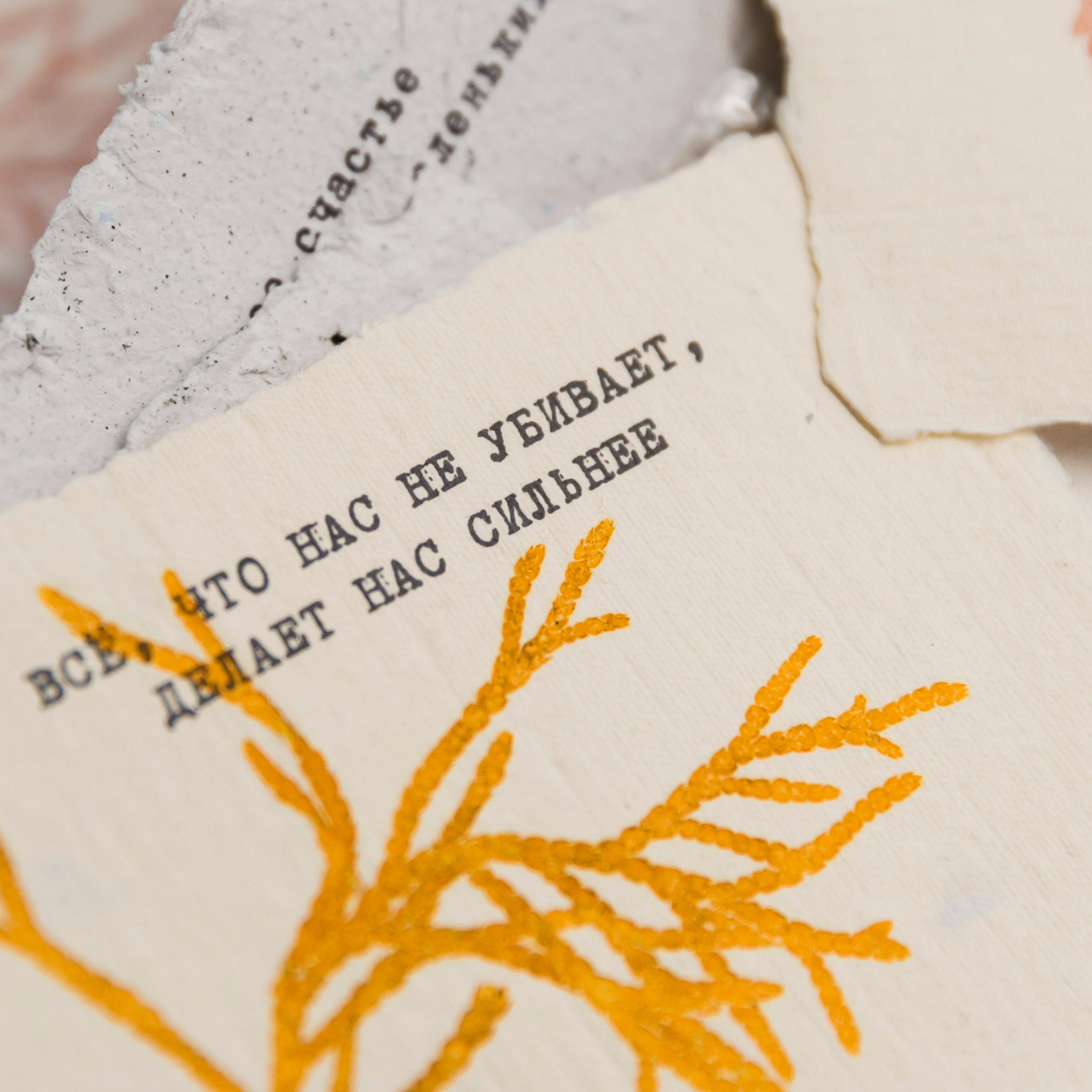 Отзывы о фотографе Анастасии Чистяковой. Репортажный Фотограф Москва-Чистякова Анастасия