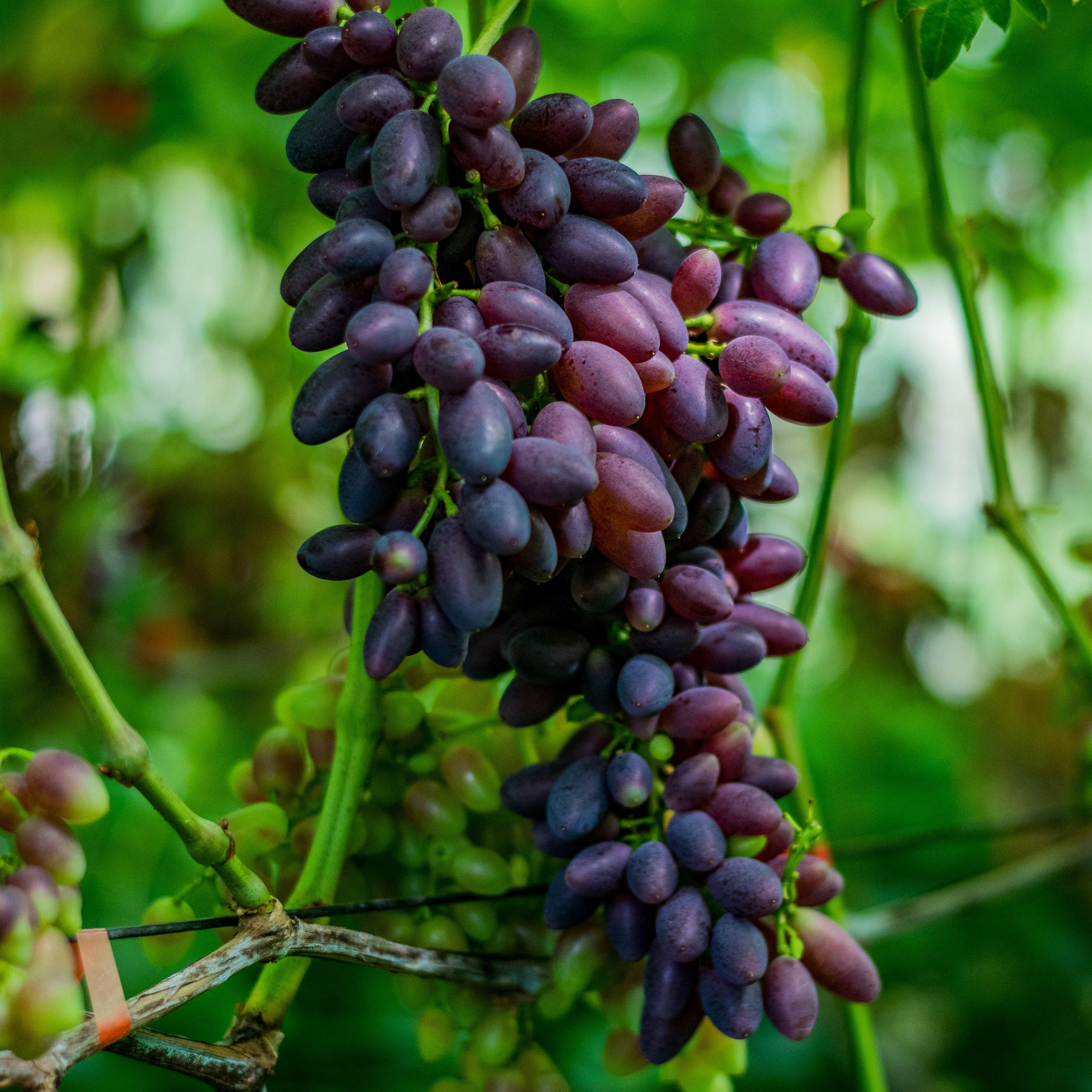 Отзывы и благодарности foto-27.ru фотограф Антон Курдюмов. Фотограф в Хабаровске Антон Курдюмов FOTO-27.RU
