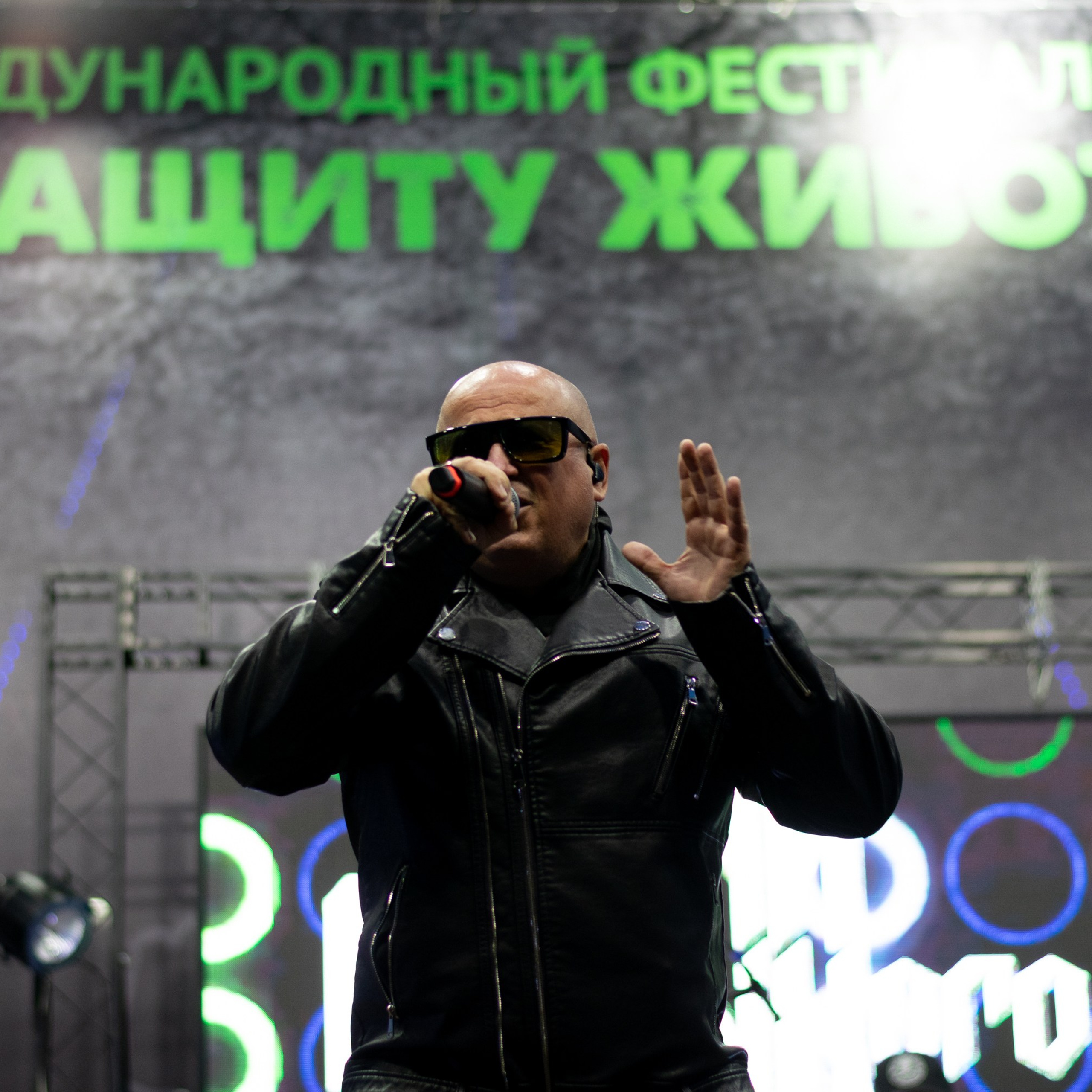 Международный фестиваль «Рок в защиту животных 2024» в Хабаровске