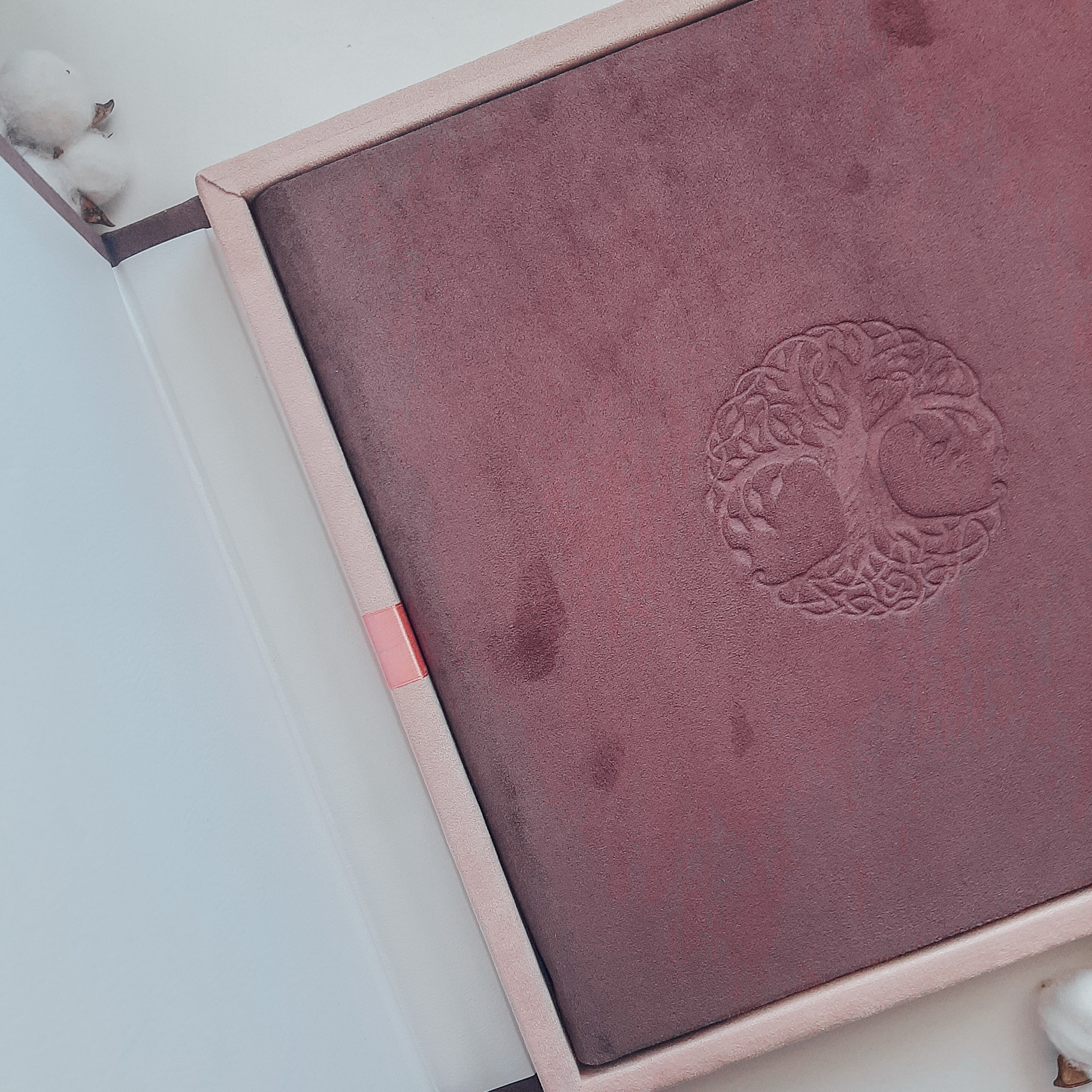 ФОТОКНИГИ. Photograper Israel/фотограф Израиль. ALINA TARAN