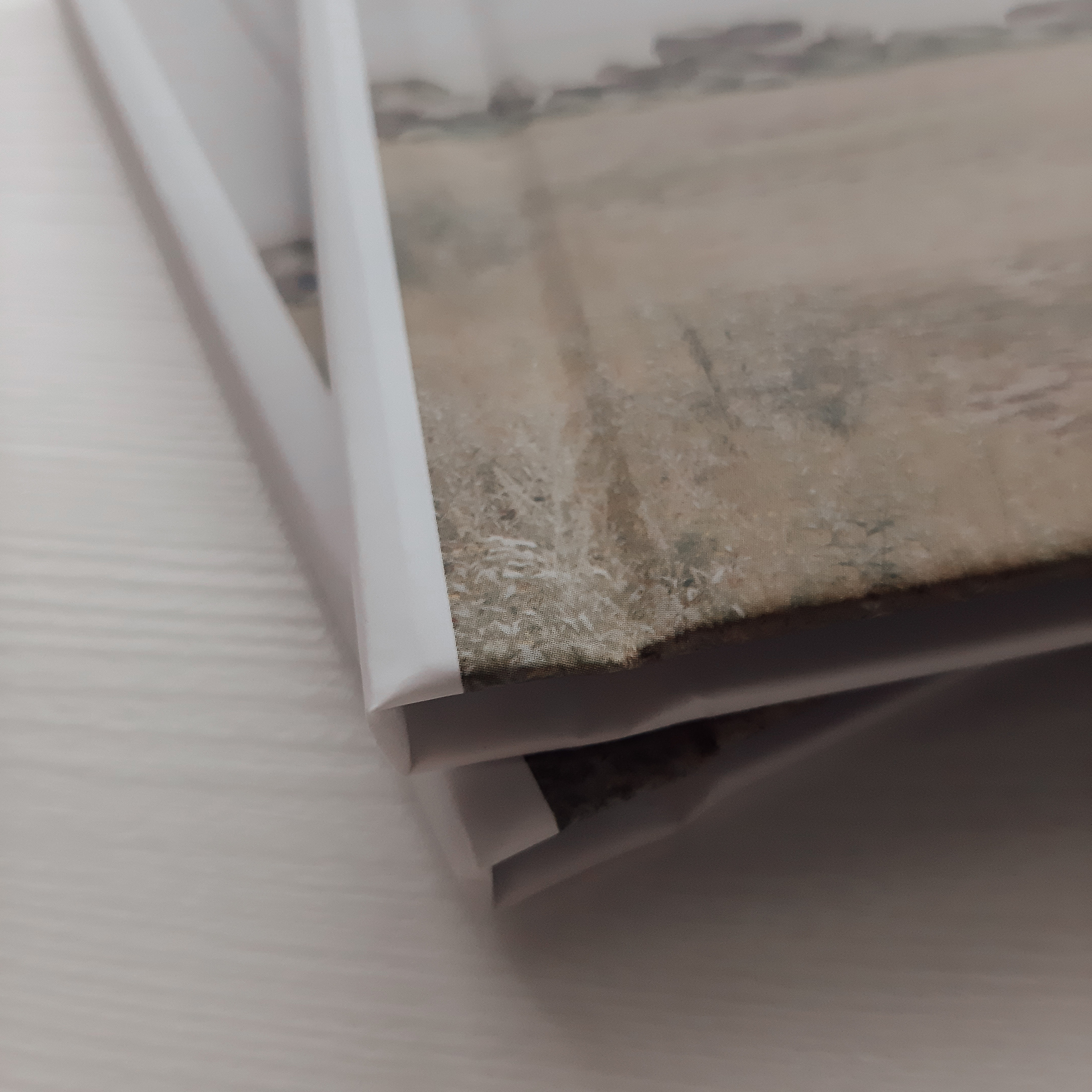 ФОТОКНИГИ. Photograper Israel/фотограф Израиль. ALINA TARAN