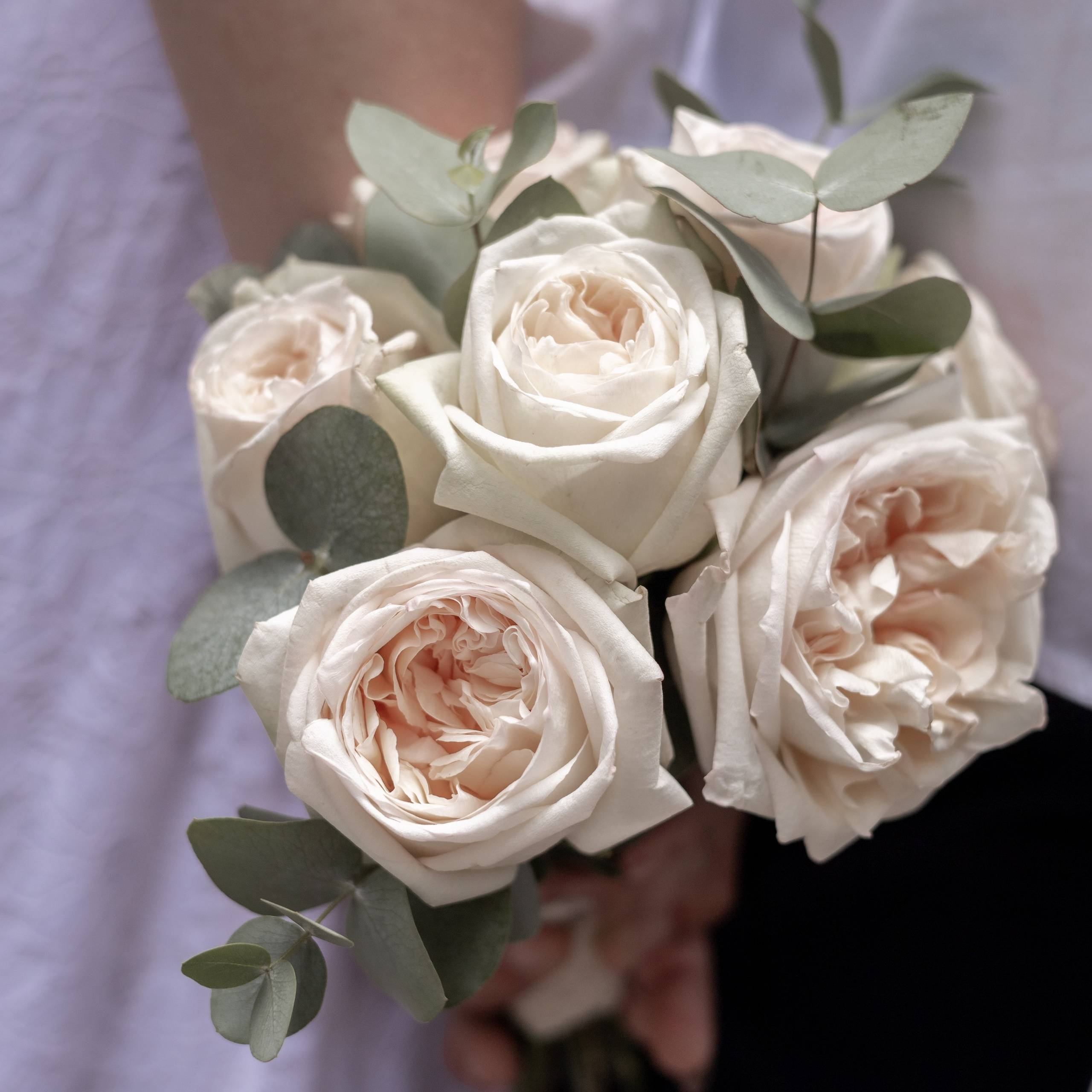 Отзывы. Главная