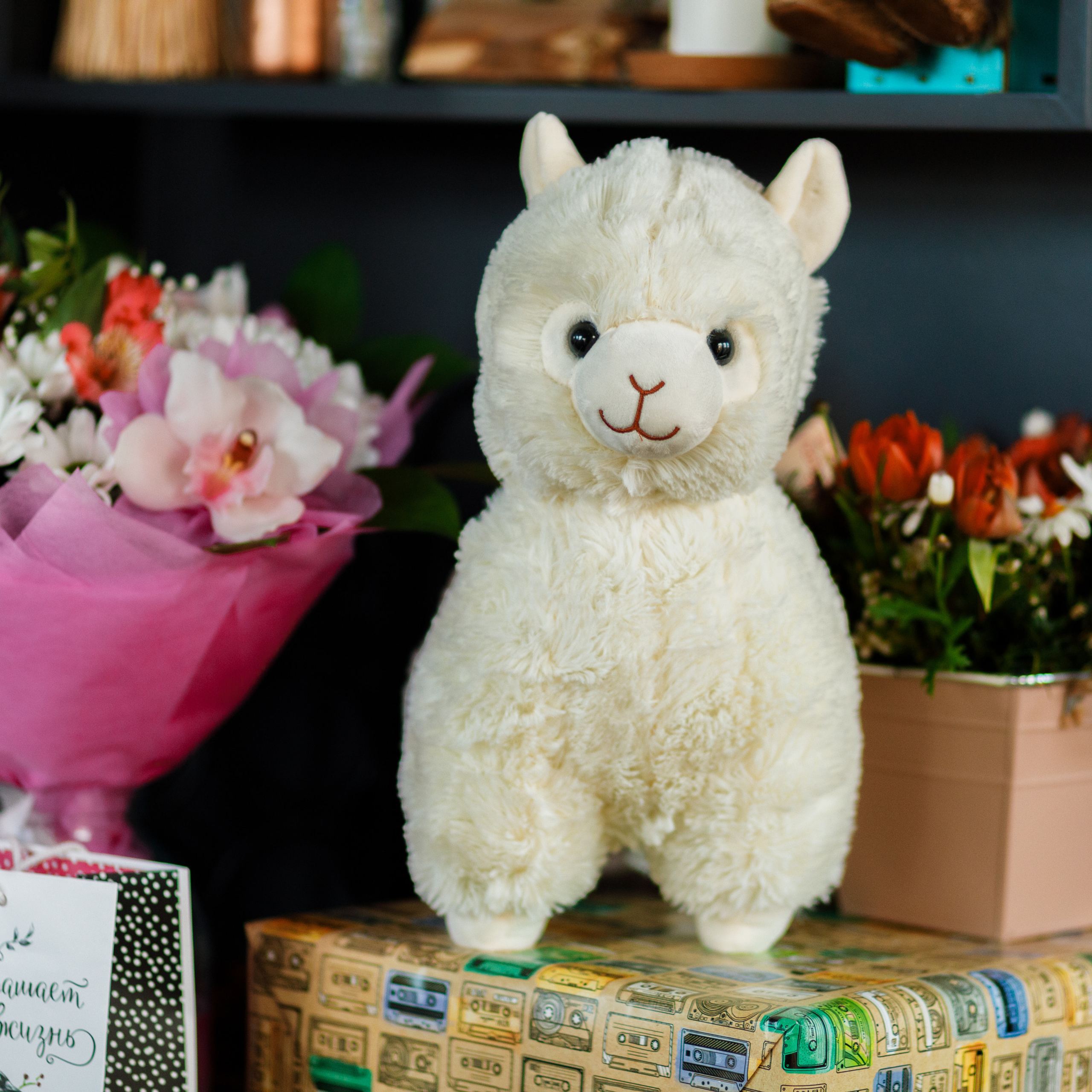 Отзывы. Фотограф в Москве Оля Жарких