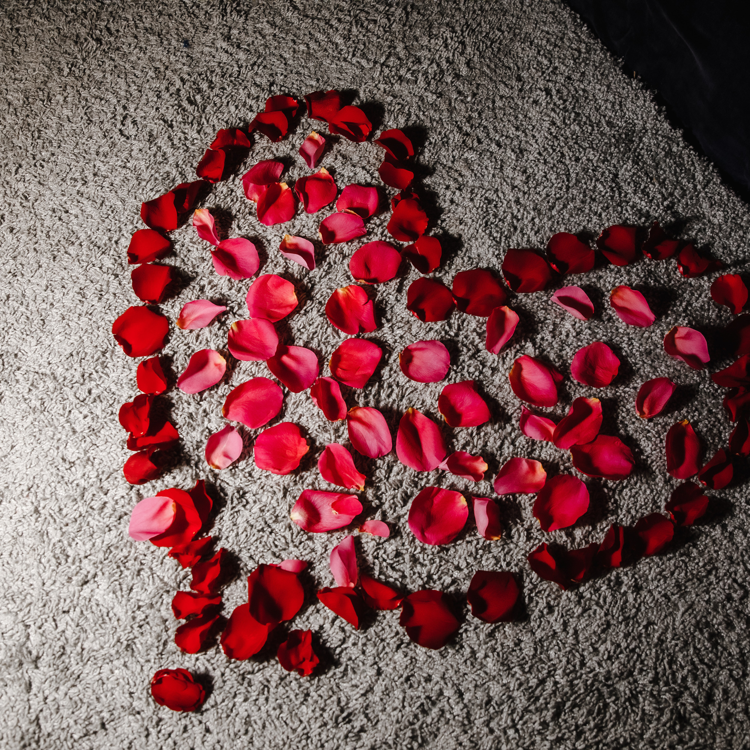 Отзывы. Фотограф в Москве Оля Жарких