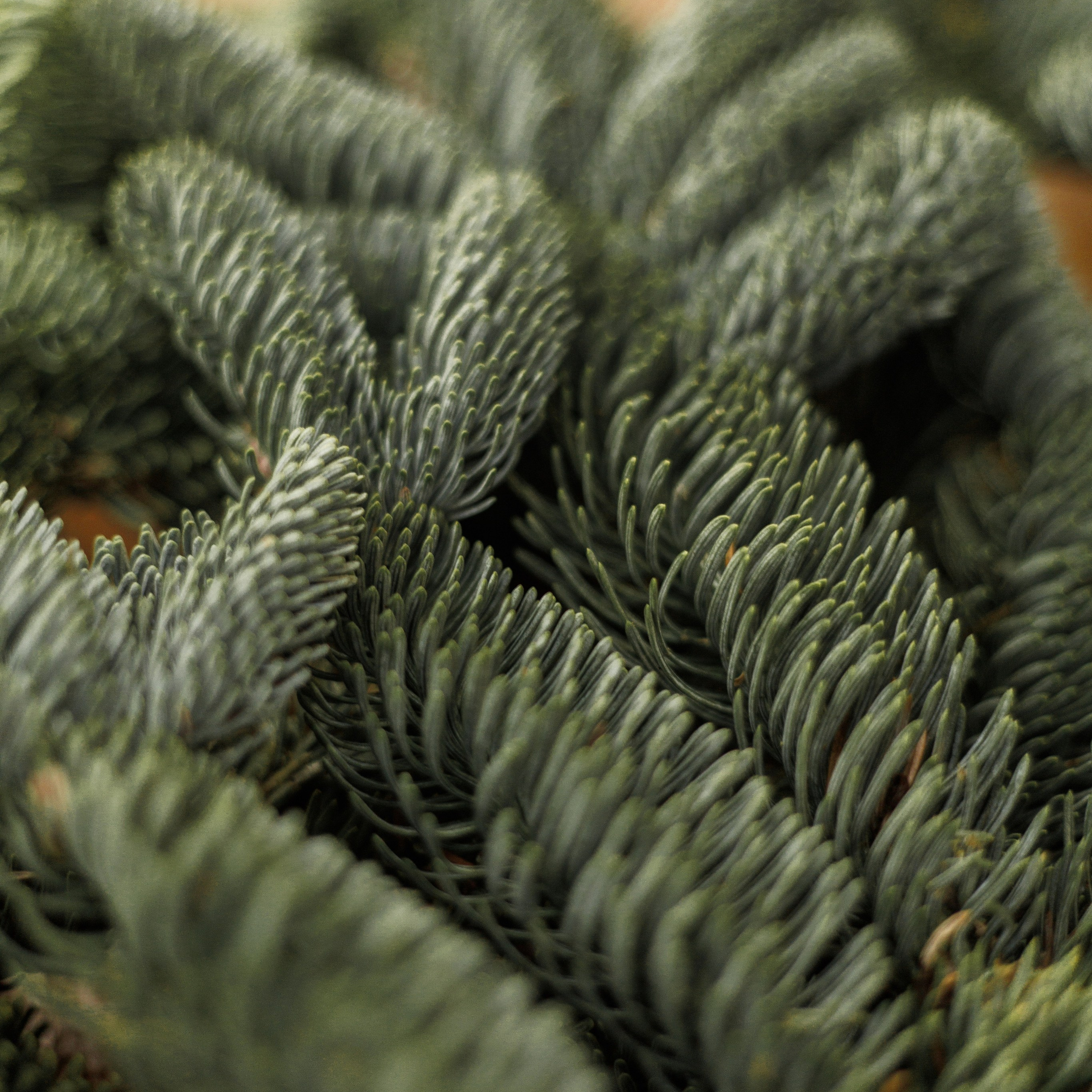 Отзывы. Фотограф Ксения Тюменев