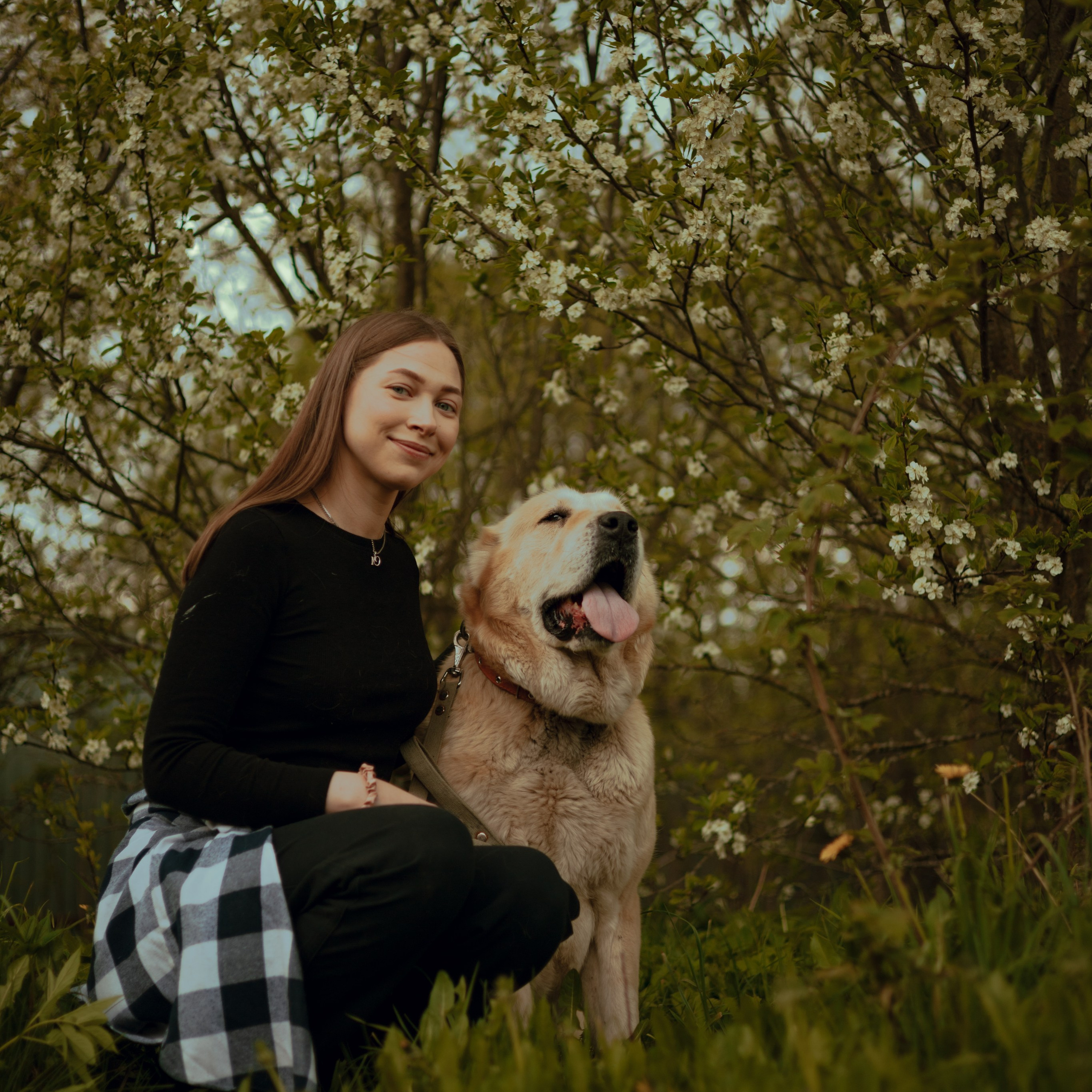 Отзывы. Фотограф — анималист •love-story•|Санкт-Петербург