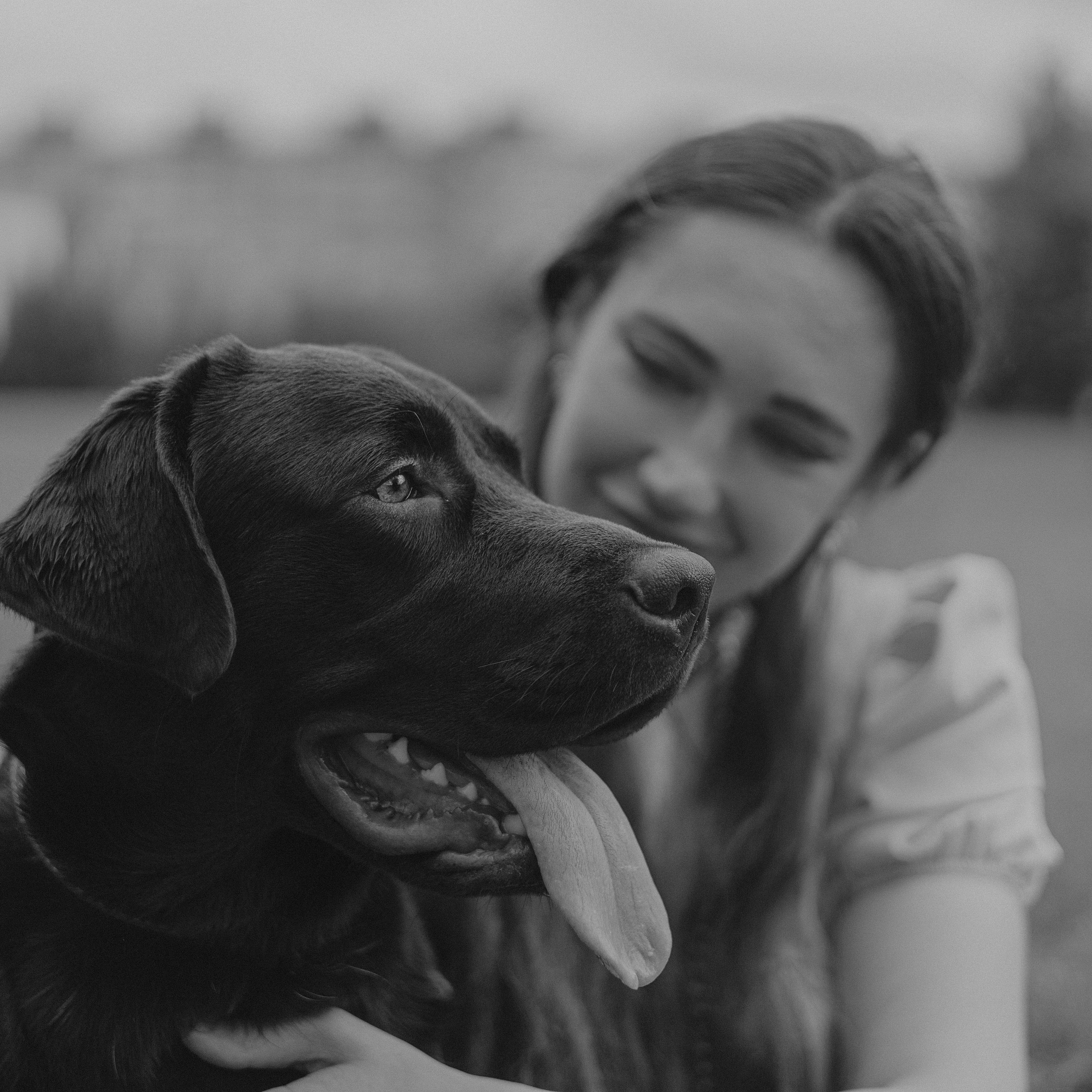 Отзывы. Фотограф — анималист •love-story•|Санкт-Петербург