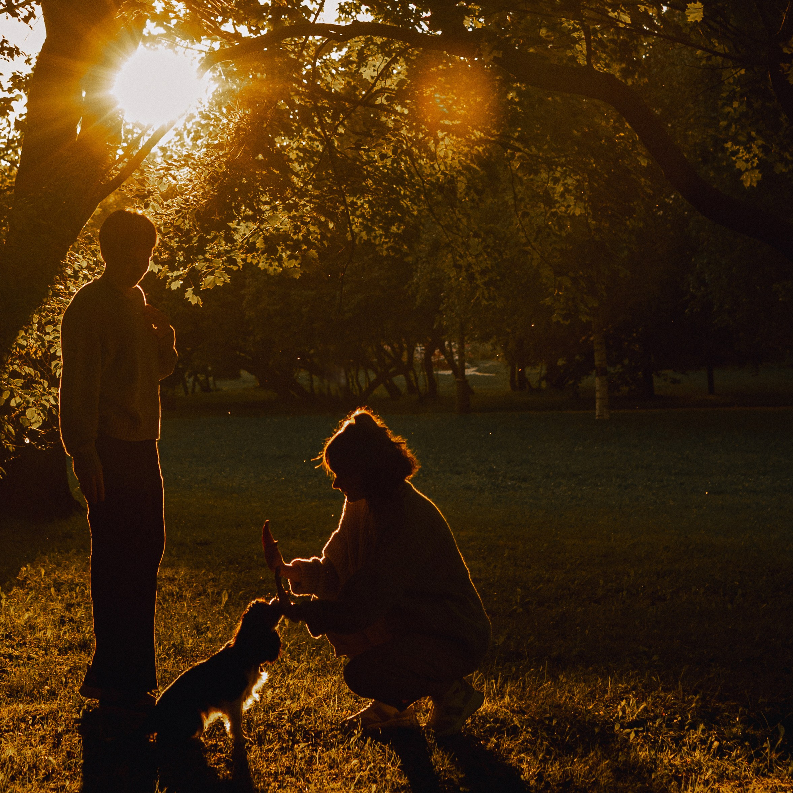 Отзывы. Фотограф — анималист •love-story•|Санкт-Петербург