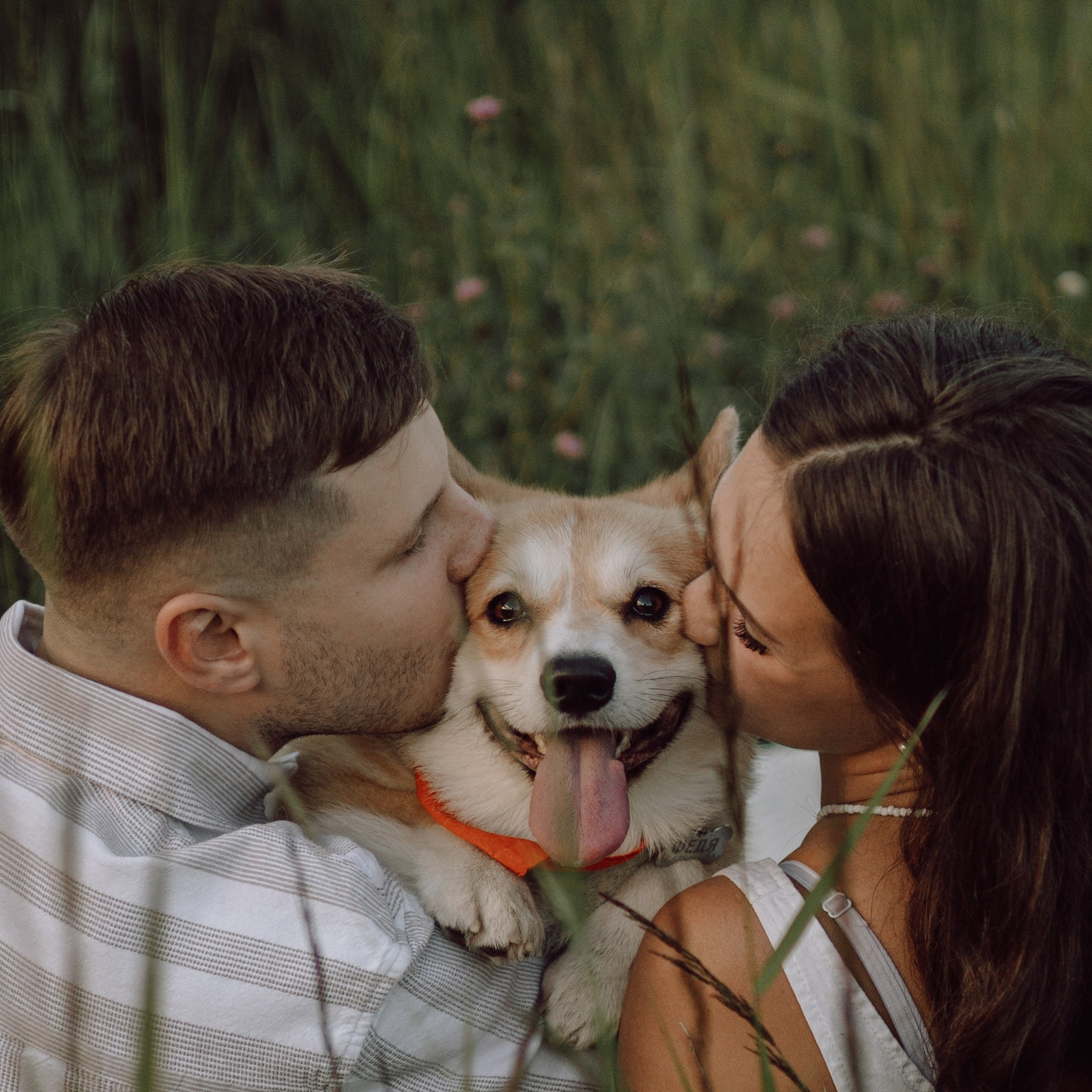 Отзывы. Фотограф — анималист •love-story•|Санкт-Петербург