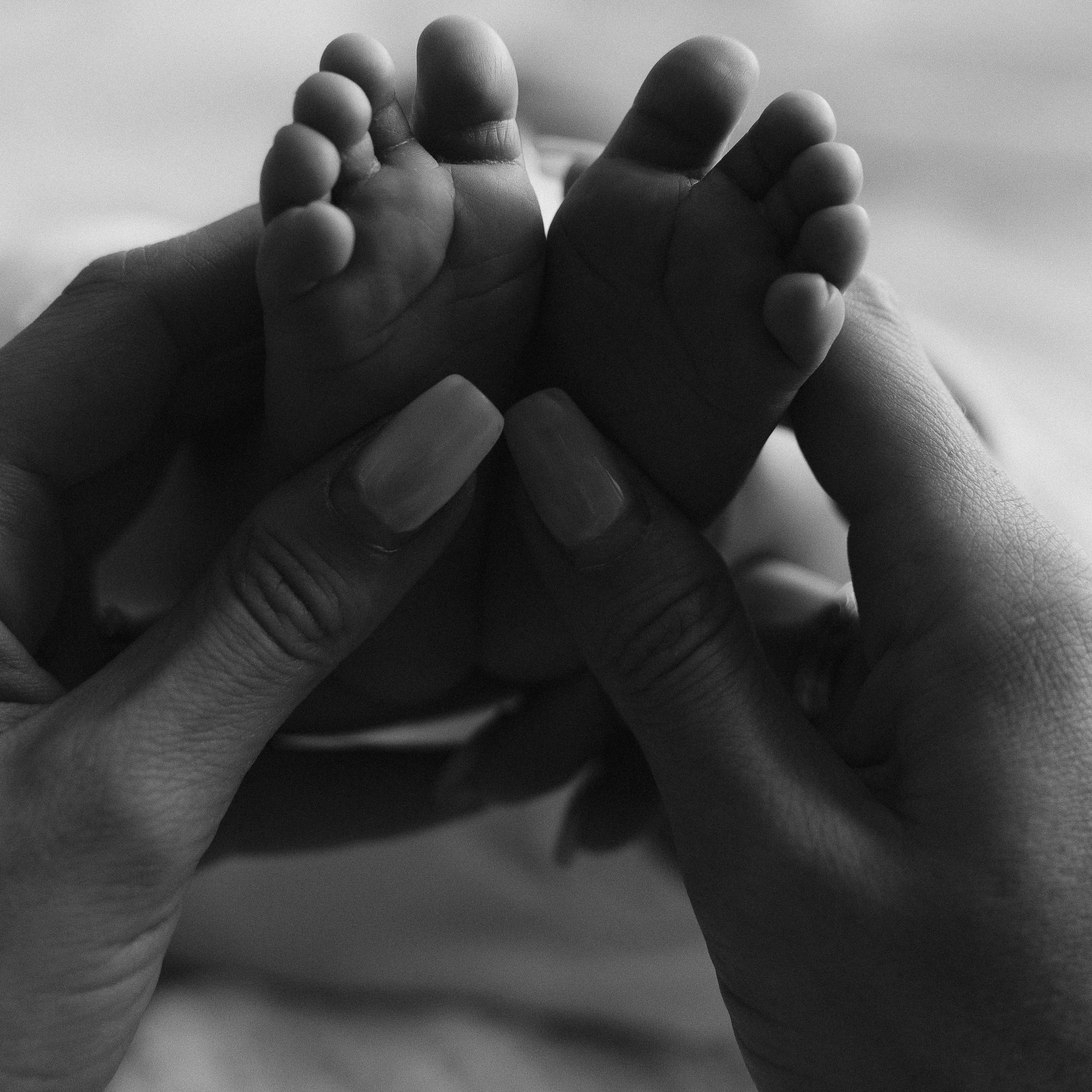 Алина и Аврора