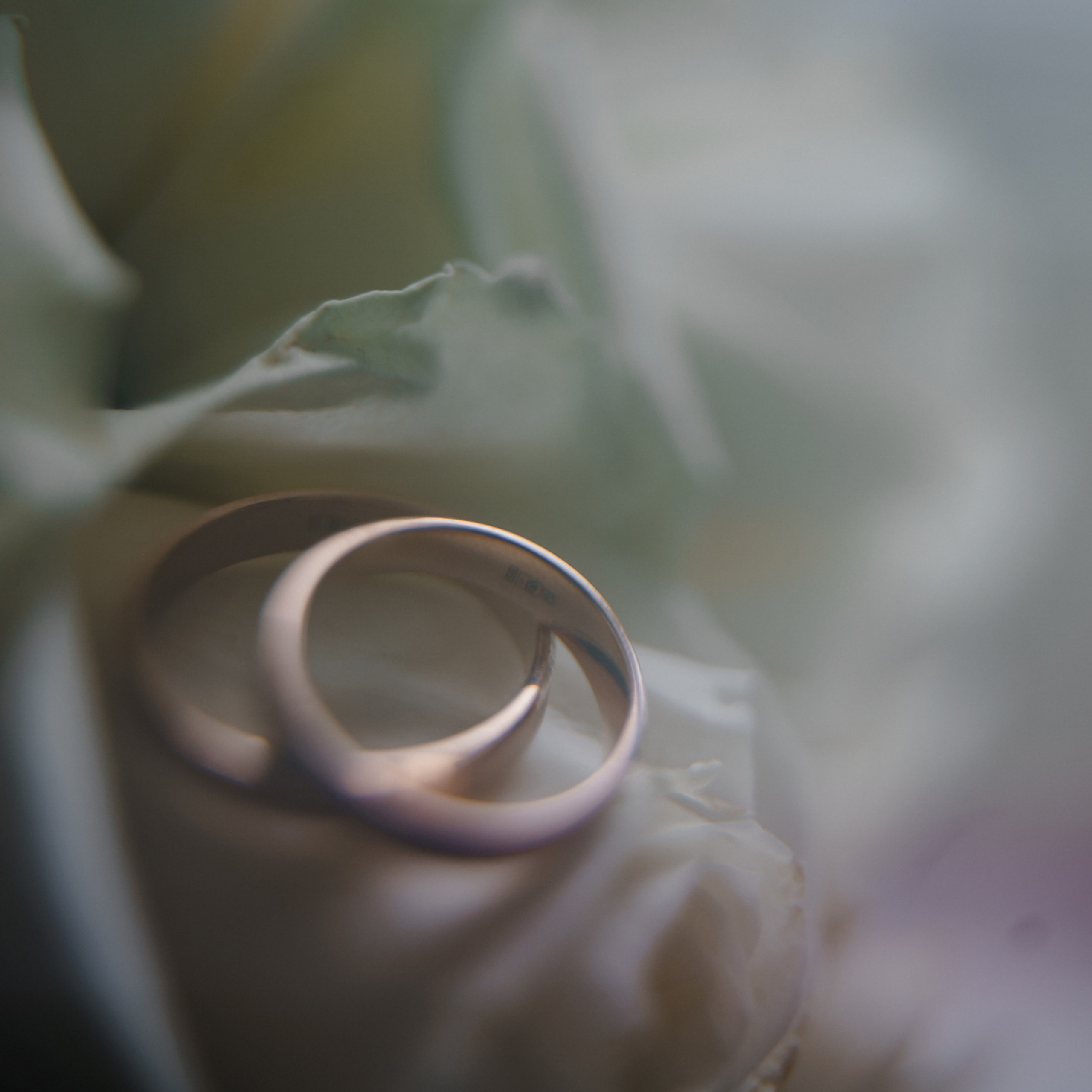 Отзывы. Суперикин Евгений Фотограф Санкт-Петербург