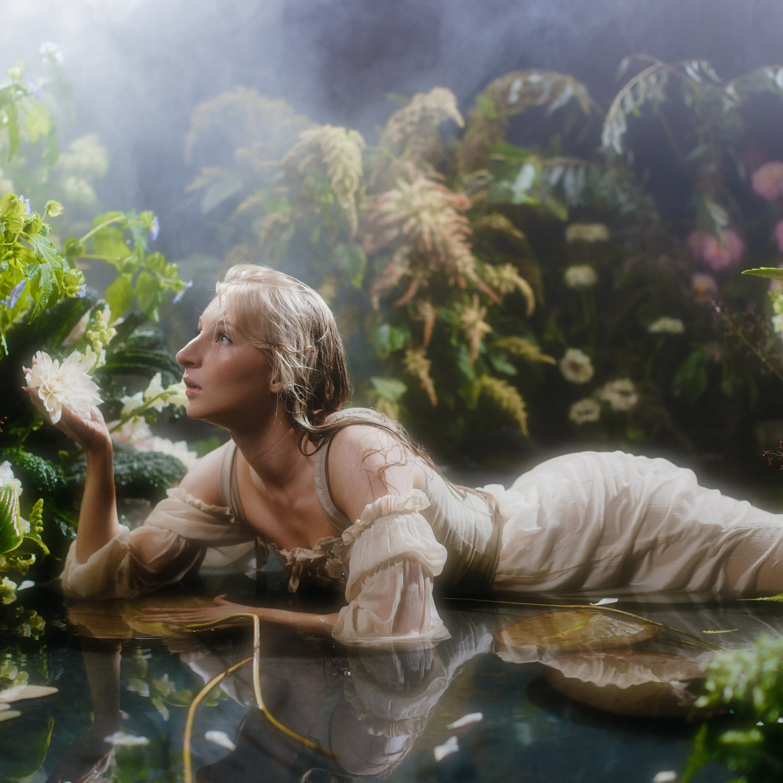 Водяные Лилии